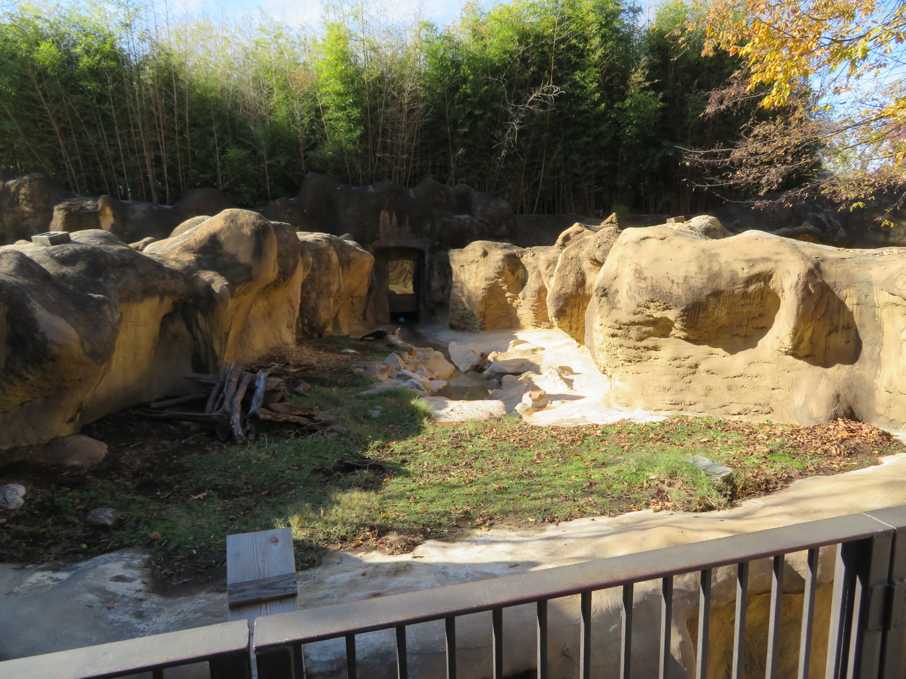 River Otter Exhibit
