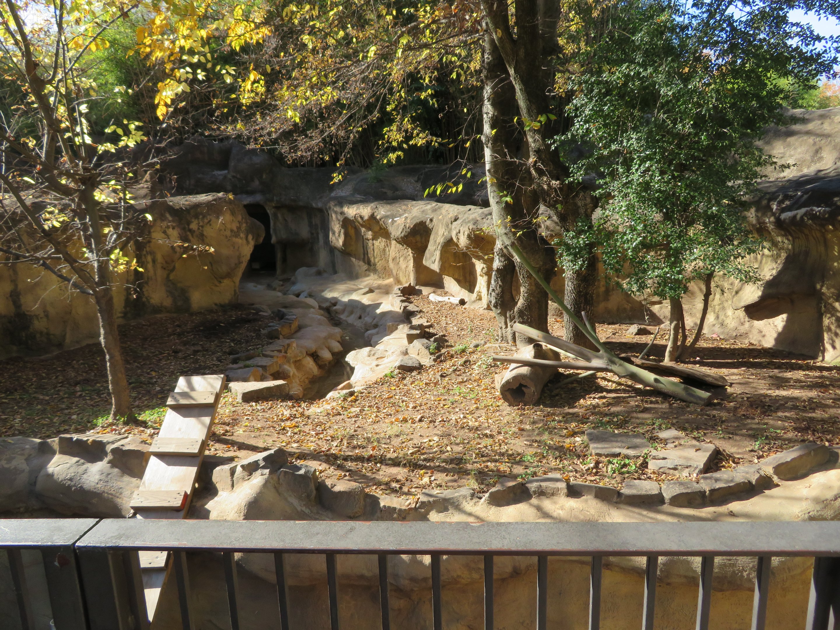 River Otter Exhibit