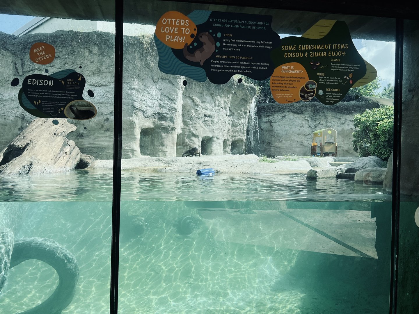 River Otter Exhibit