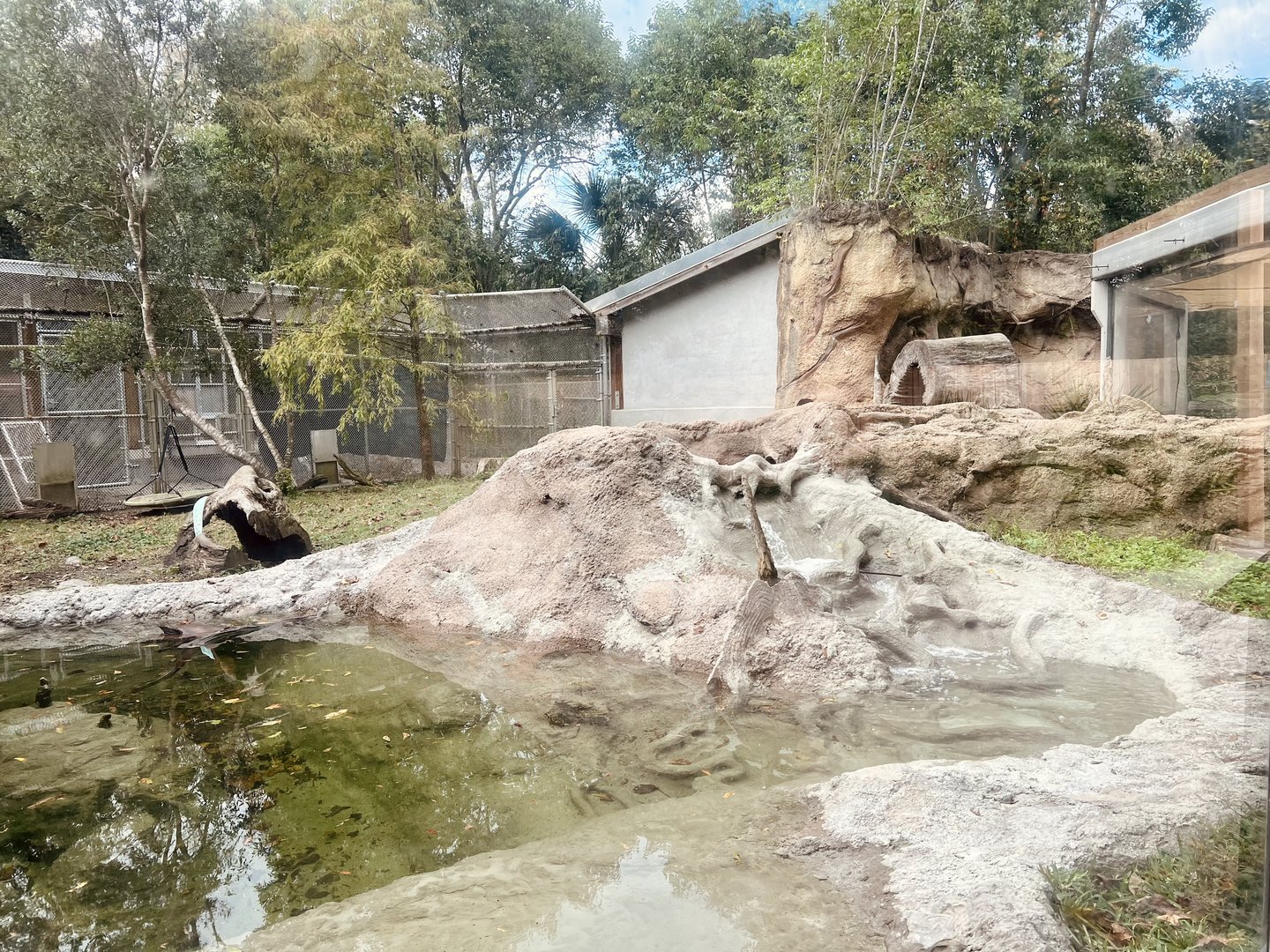River Otter Exhibit