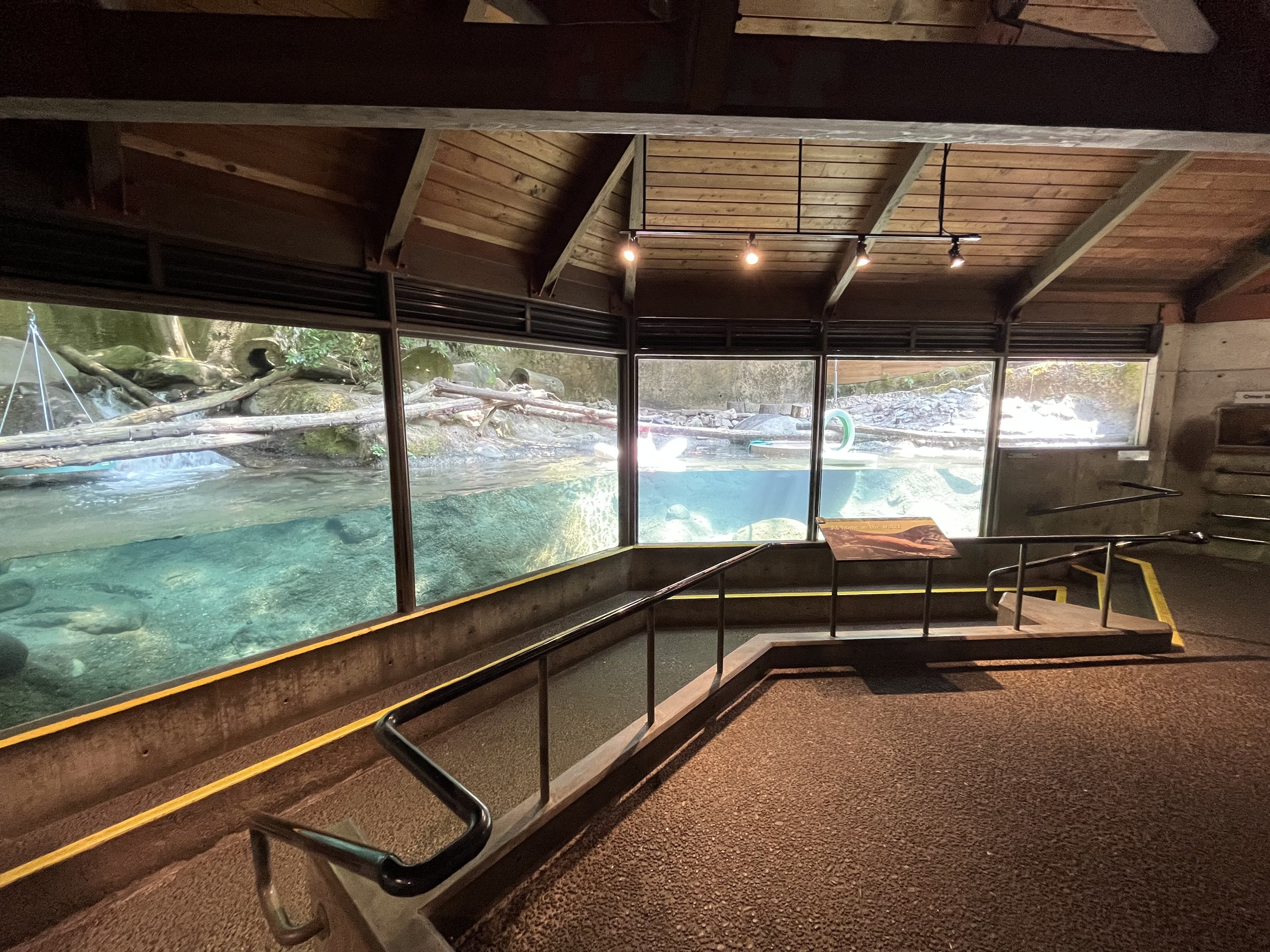 River Otter Exhibit