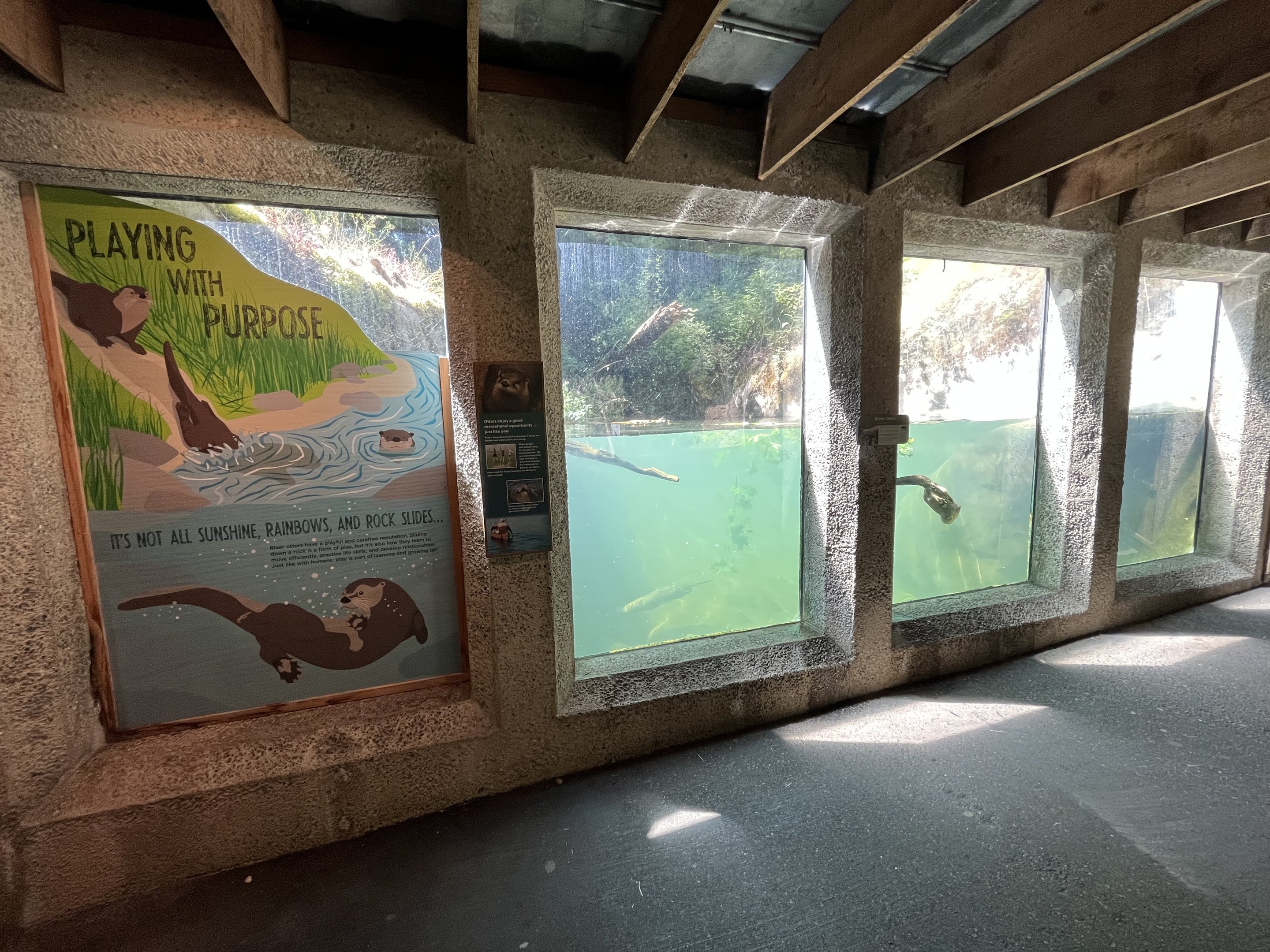 River Otter Exhibit