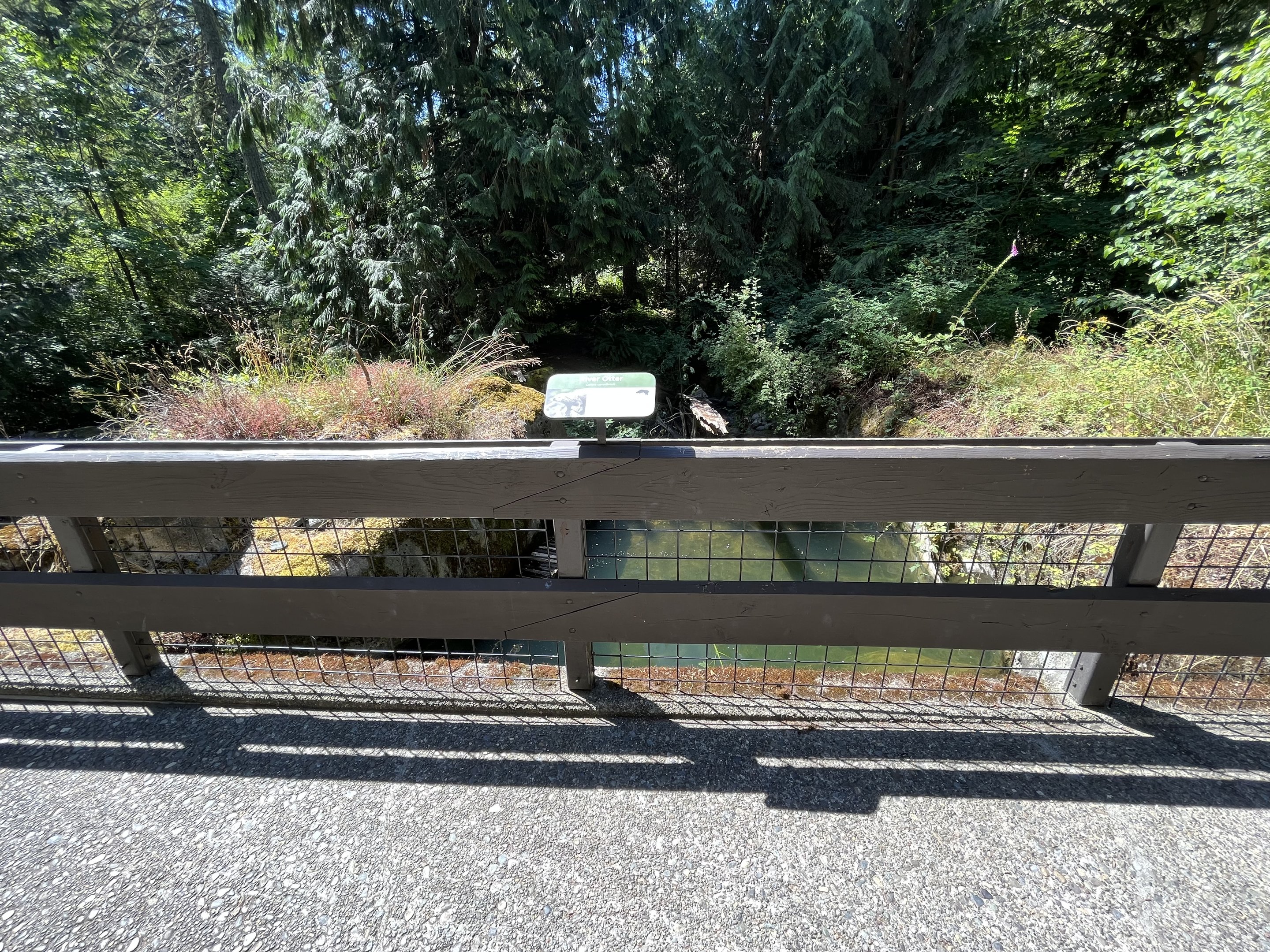 River Otter Exhibit