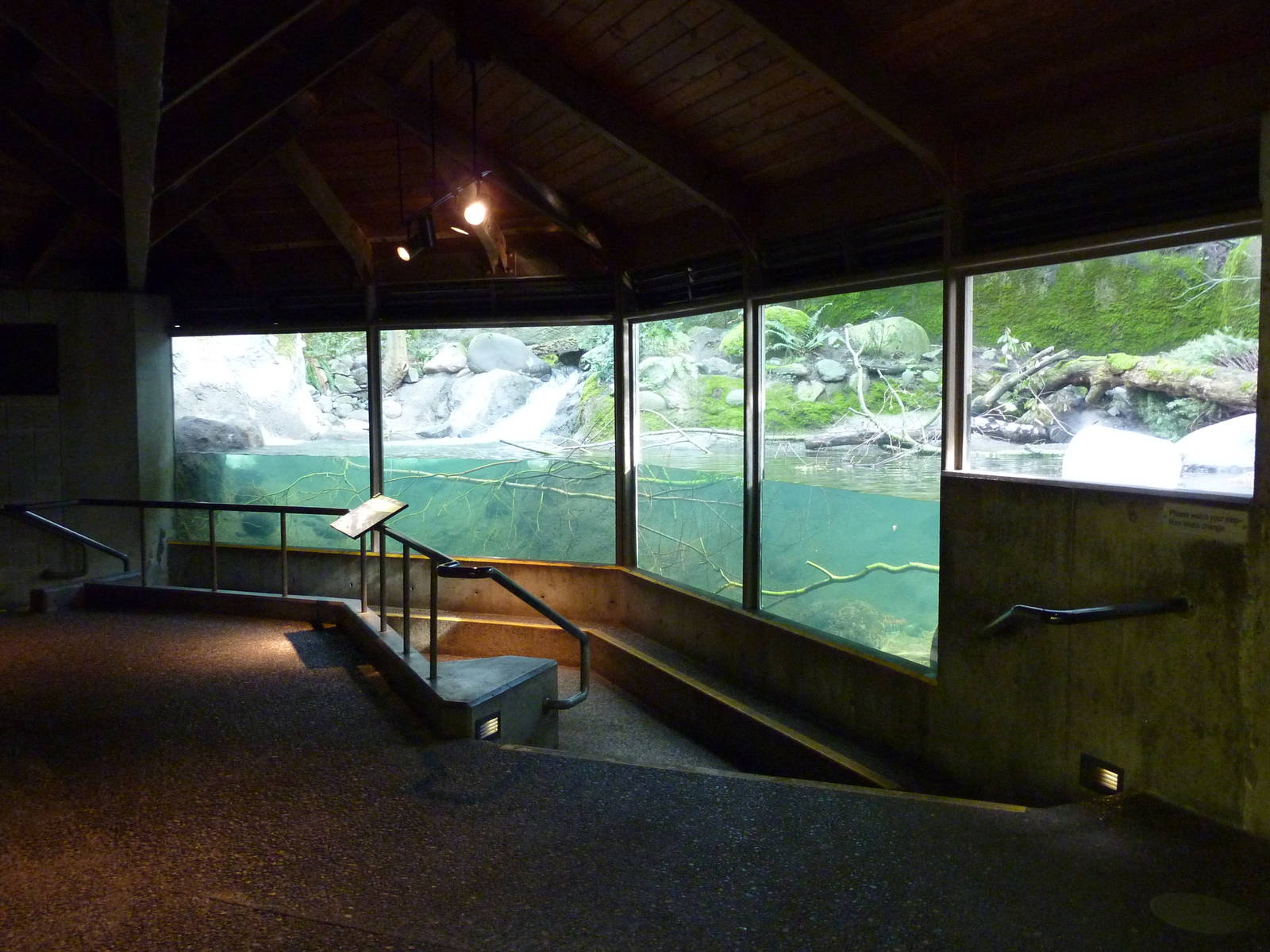 River Otter Exhibit