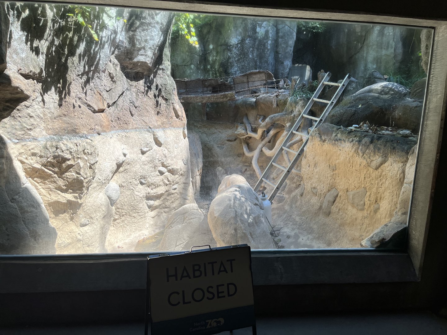 River Otter Habitat under Renovation