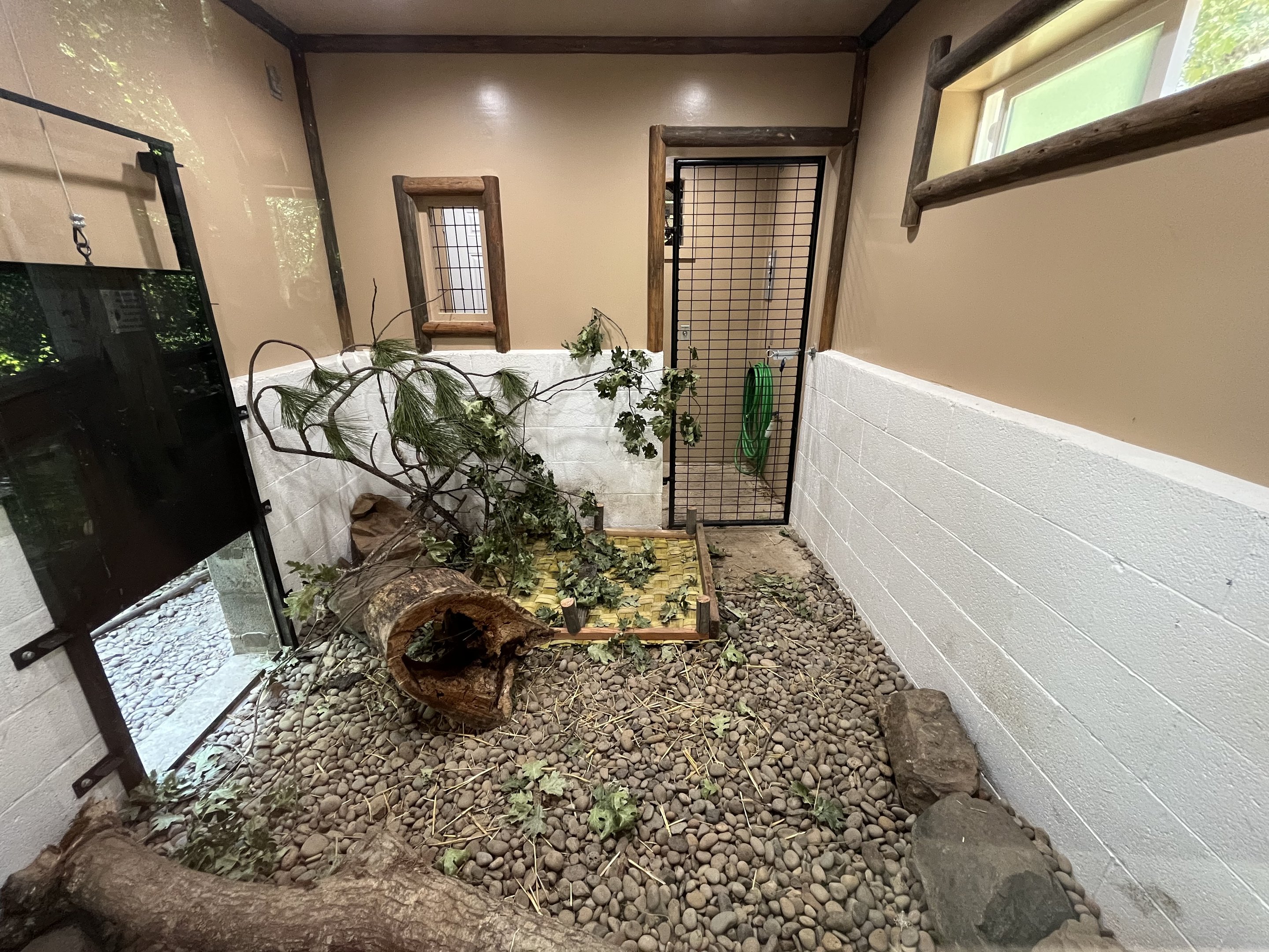 River Otter Indoor Exhibit