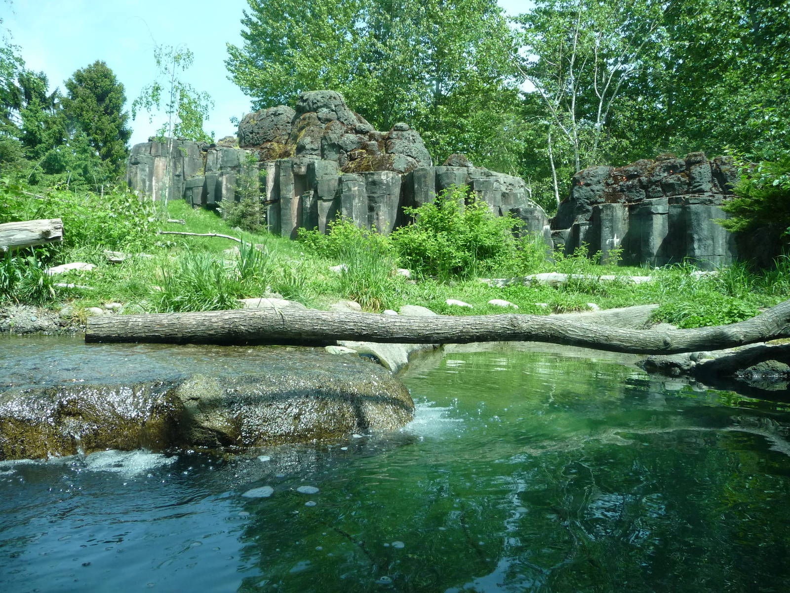 River Otter + Mountain Goat Exhibits