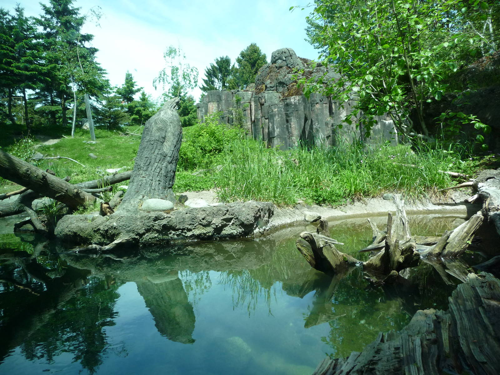 River Otter + Mountain Goat Exhibits