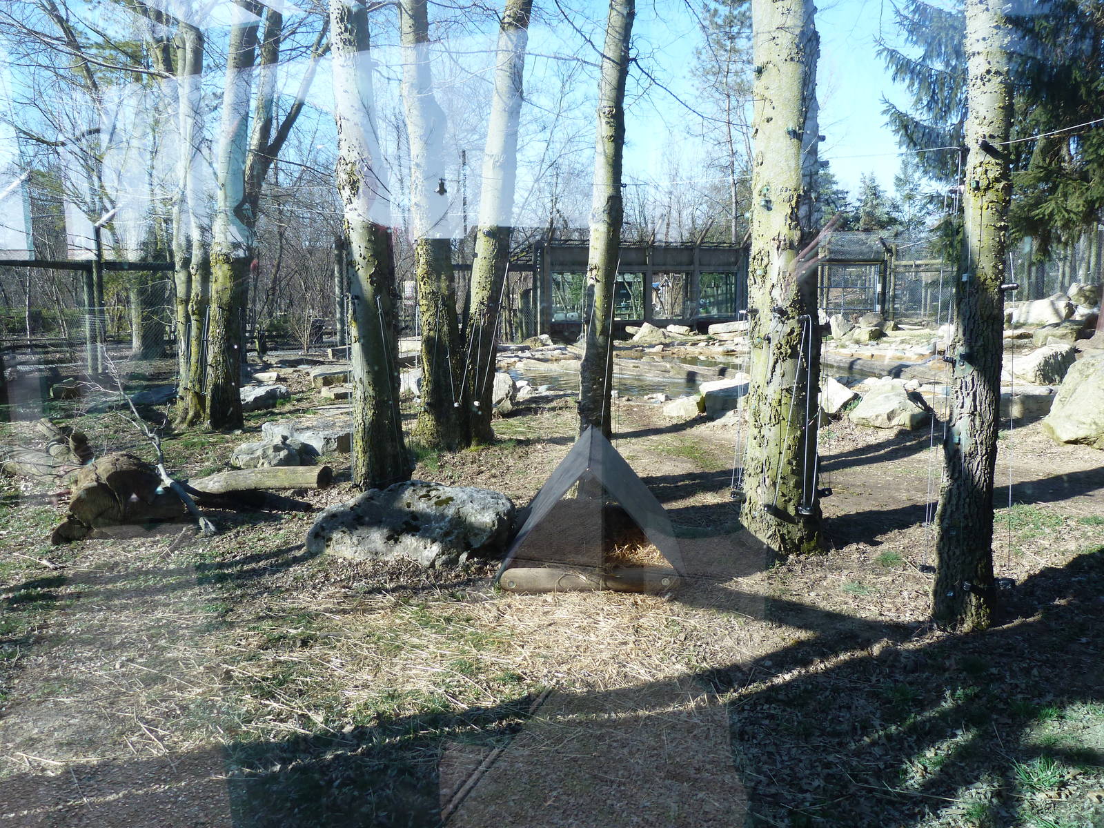 River Otter New Exhibit - North America