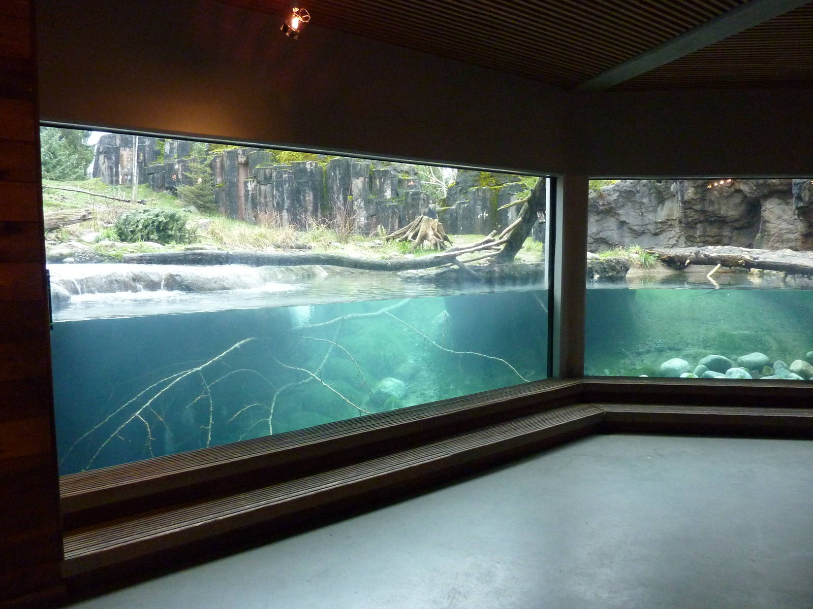 River Otter/ Rocky Mountain Goat/Arctic Fox Exhibit
