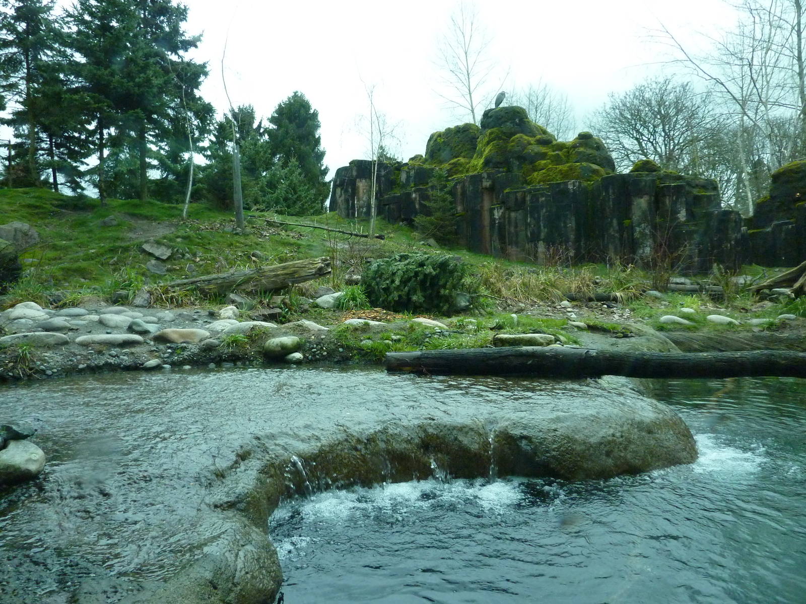 River Otter/ Rocky Mountain Goat/Arctic Fox Exhibit