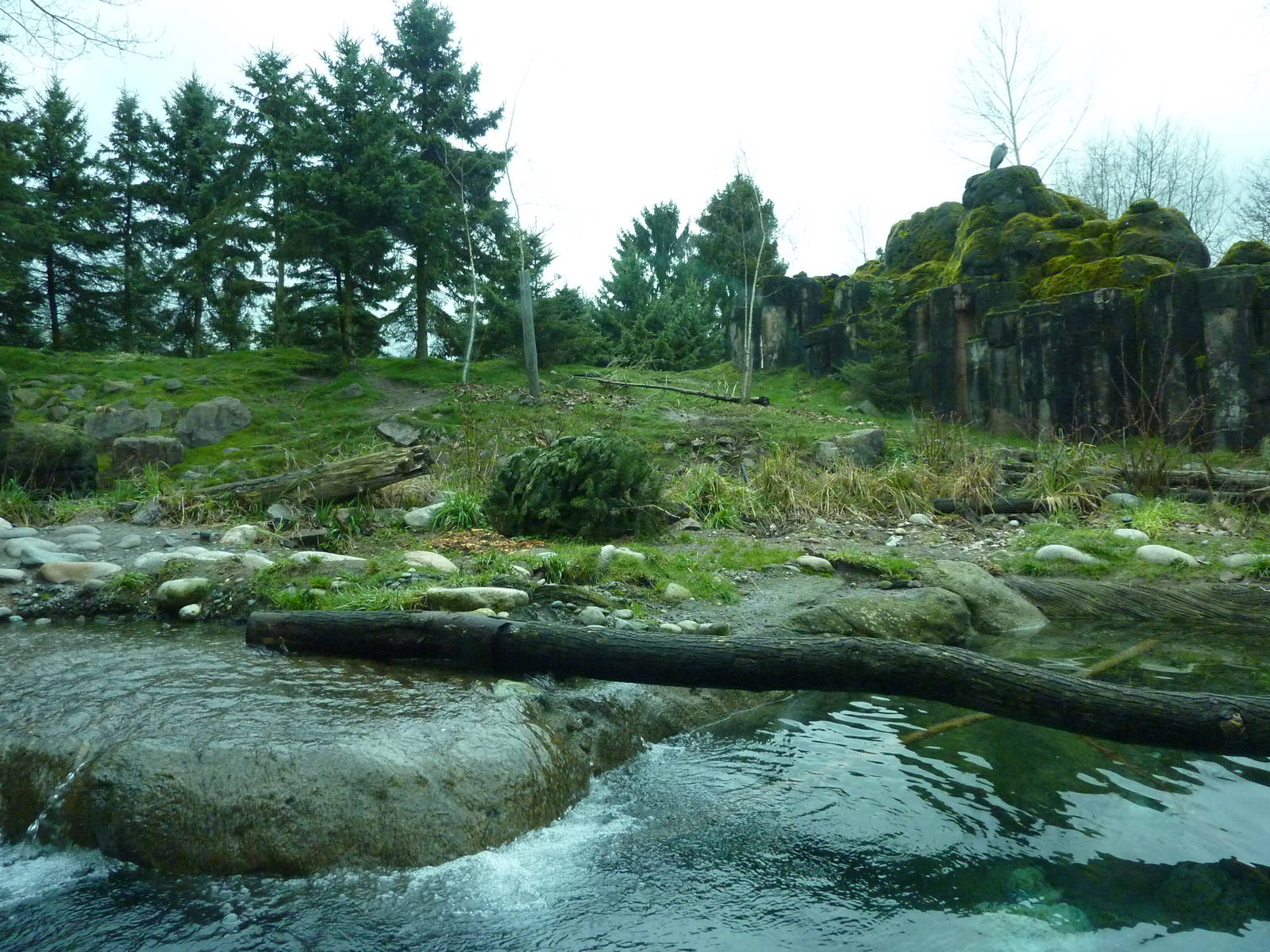 River Otter/ Rocky Mountain Goat/Arctic Fox Exhibit