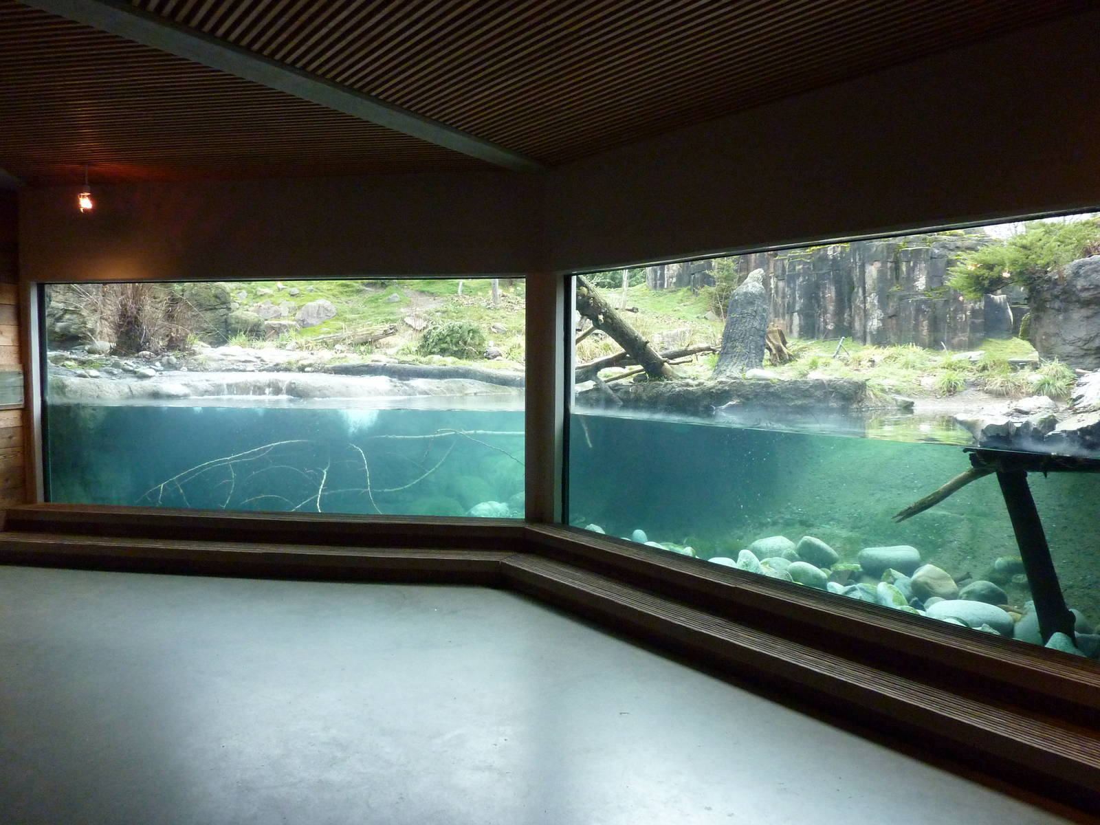 River Otter/ Rocky Mountain Goat/Arctic Fox Exhibit