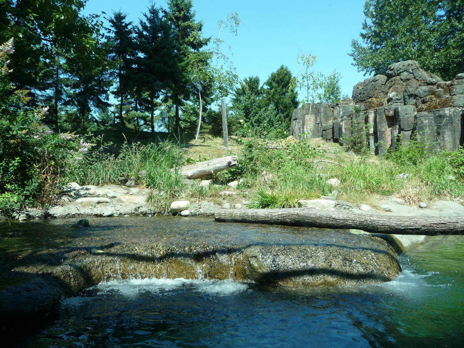 River Otter + Rocky Mountain Goat Exhibits