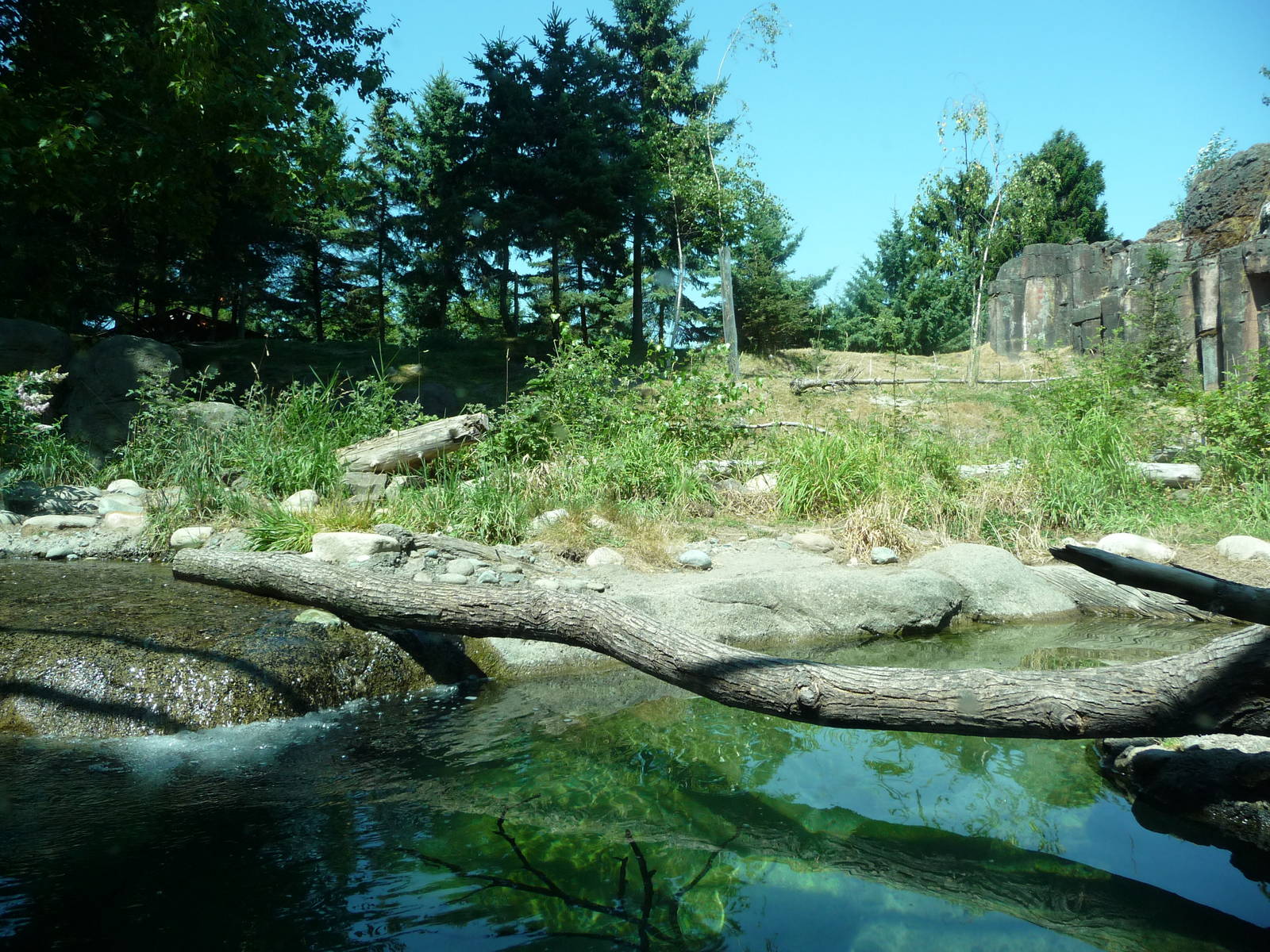 River Otter + Rocky Mountain Goat Exhibits