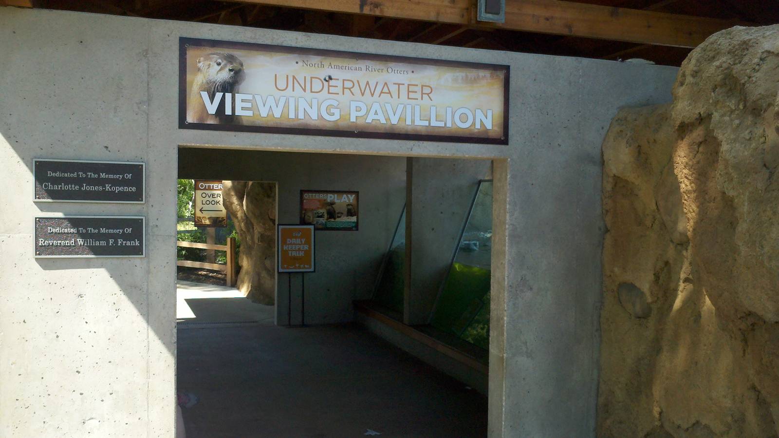 River otter-Underwater viewing area.