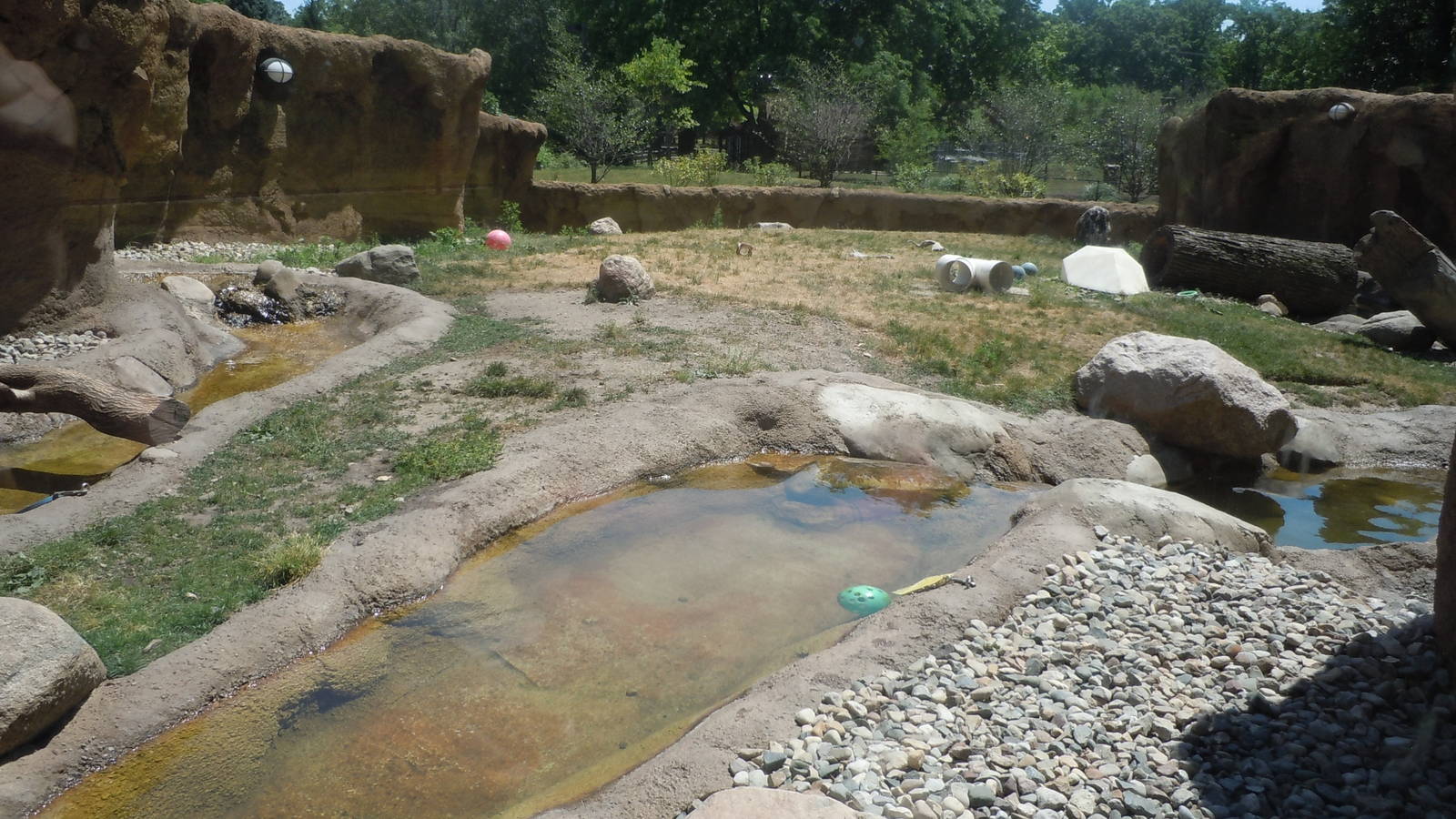 River Otter-View from the over-look viewing window.