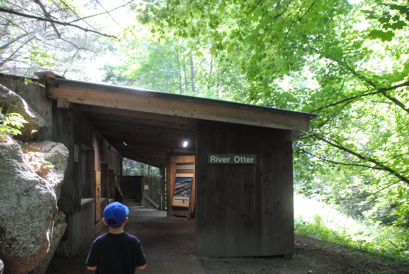 River Otter viewing area