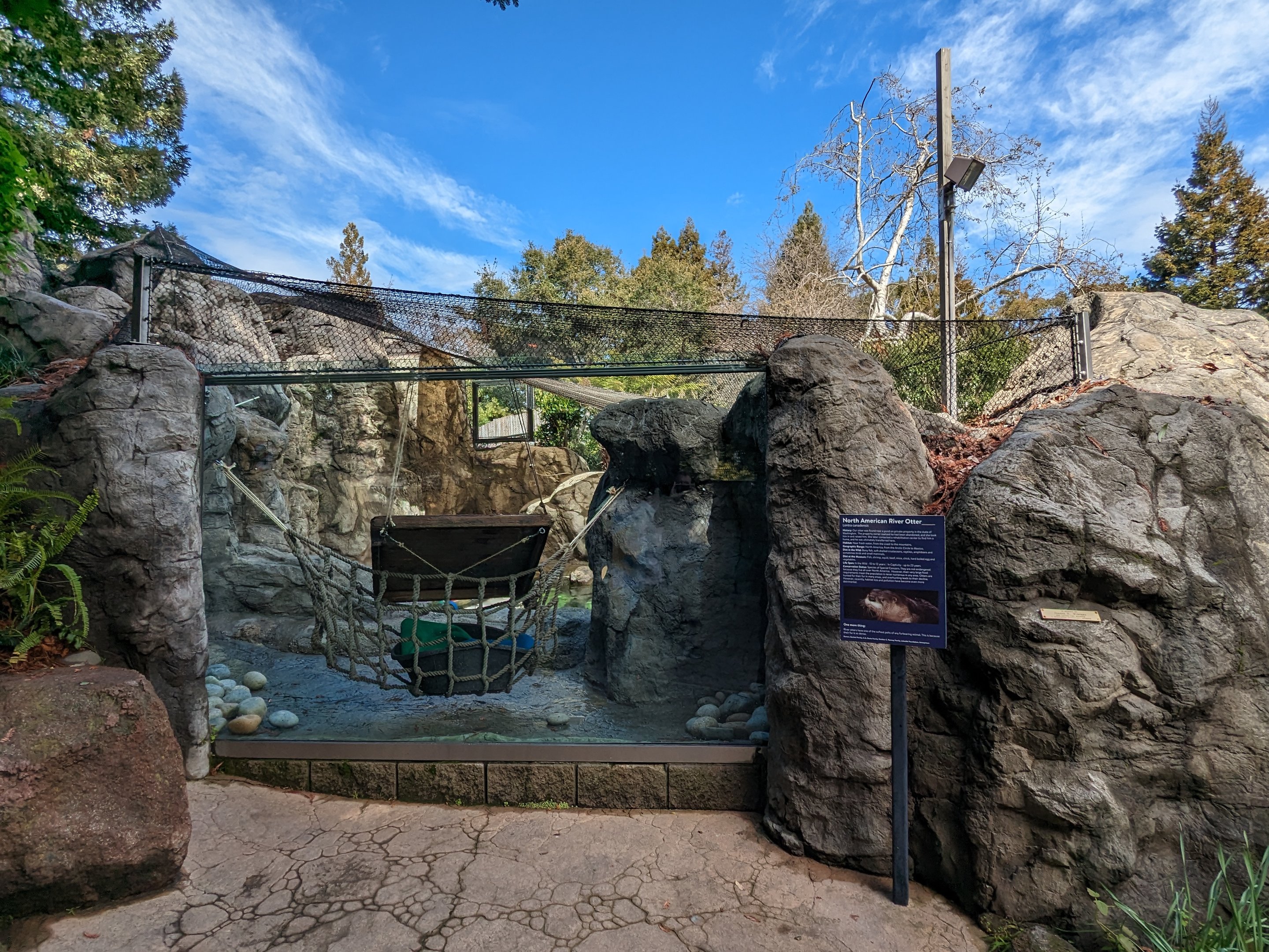 River otter viewing (exterior)