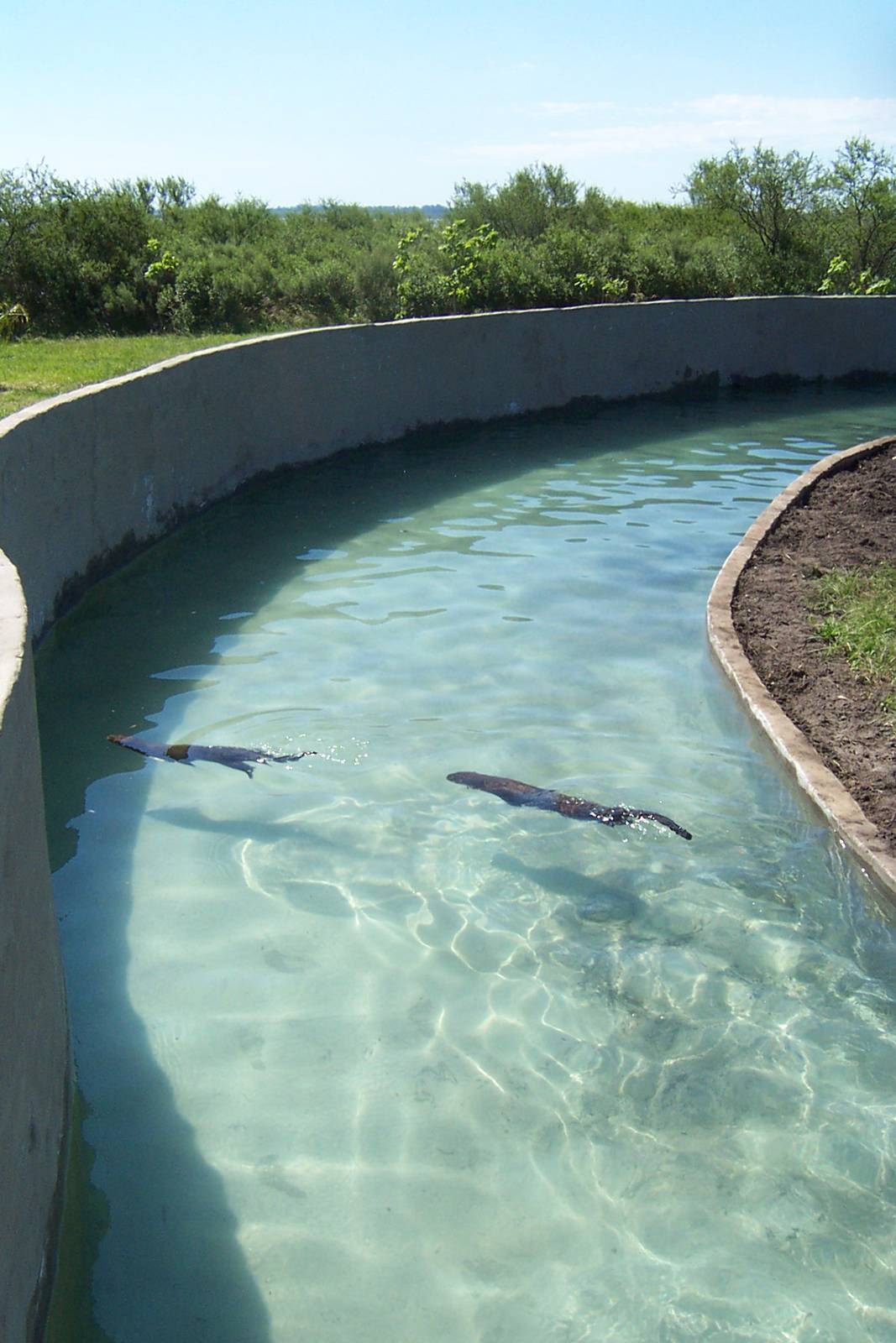 River Otters Exhibit
