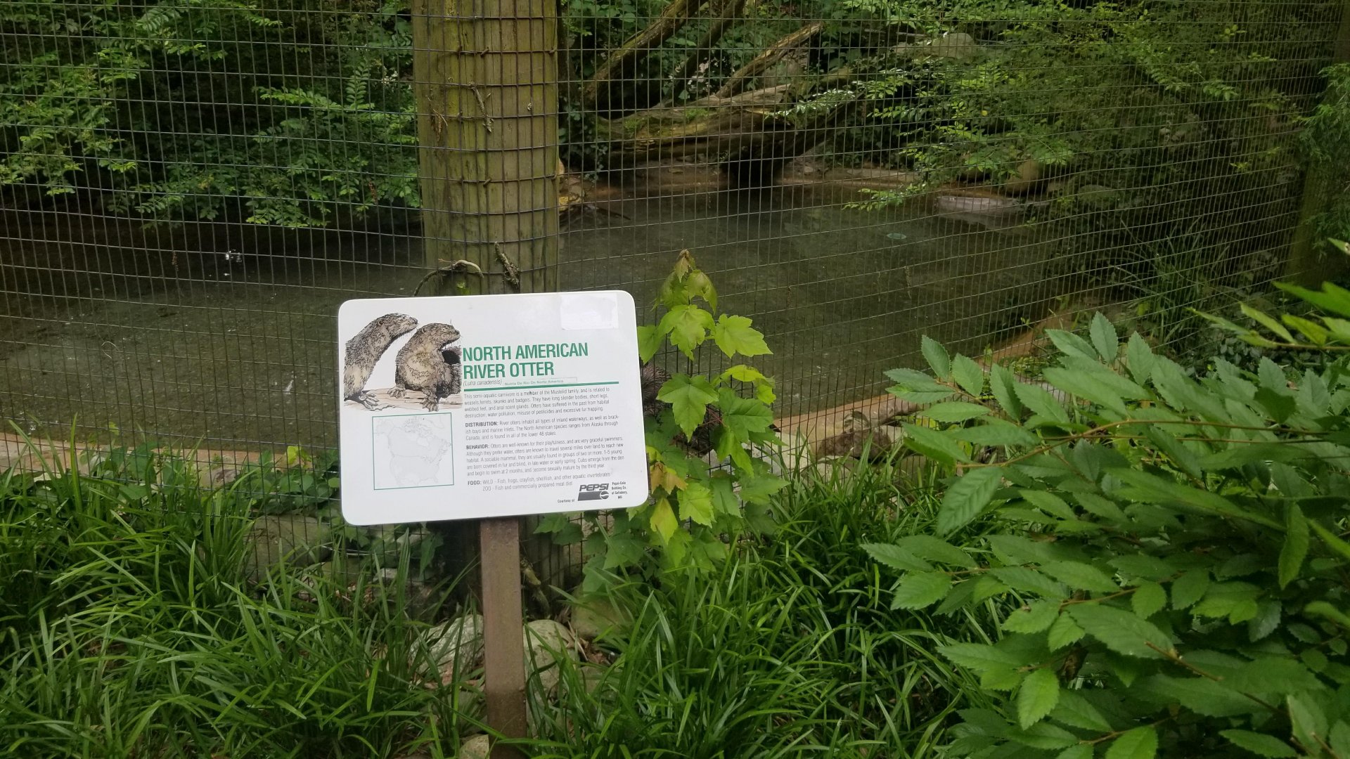 River otters sign