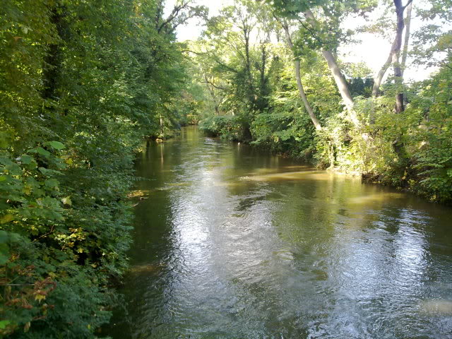 River Parthe at high watermark, September 2010