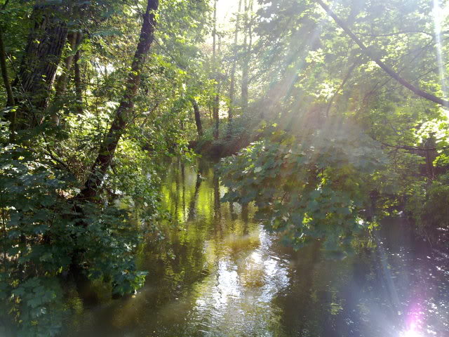 River Parthe at high watermark, September 2010