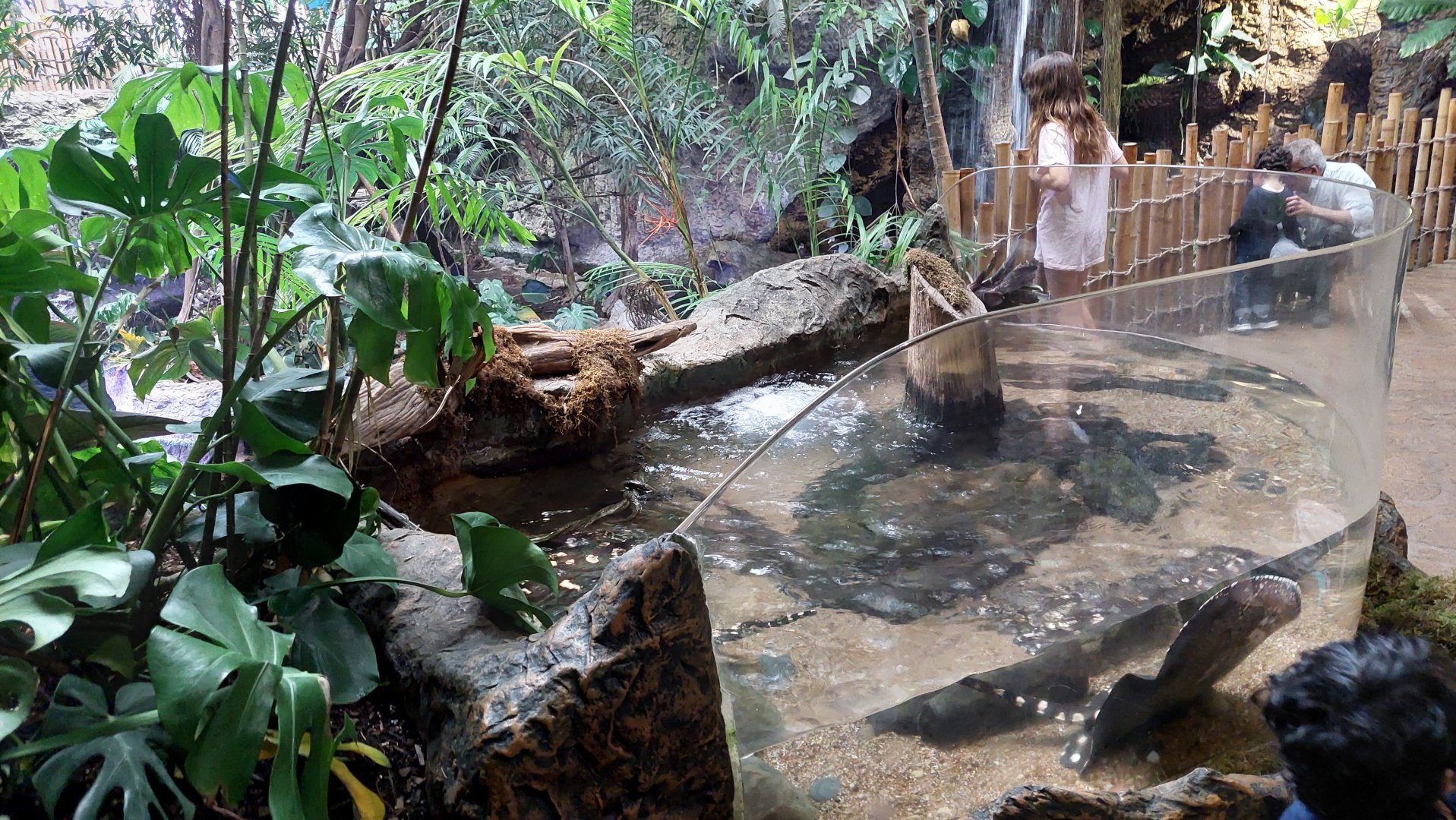 River Ray tank- Toucan Terrace