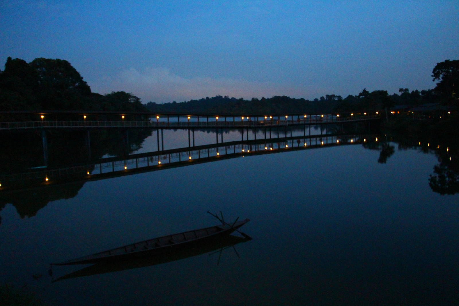 River Safari After Dark