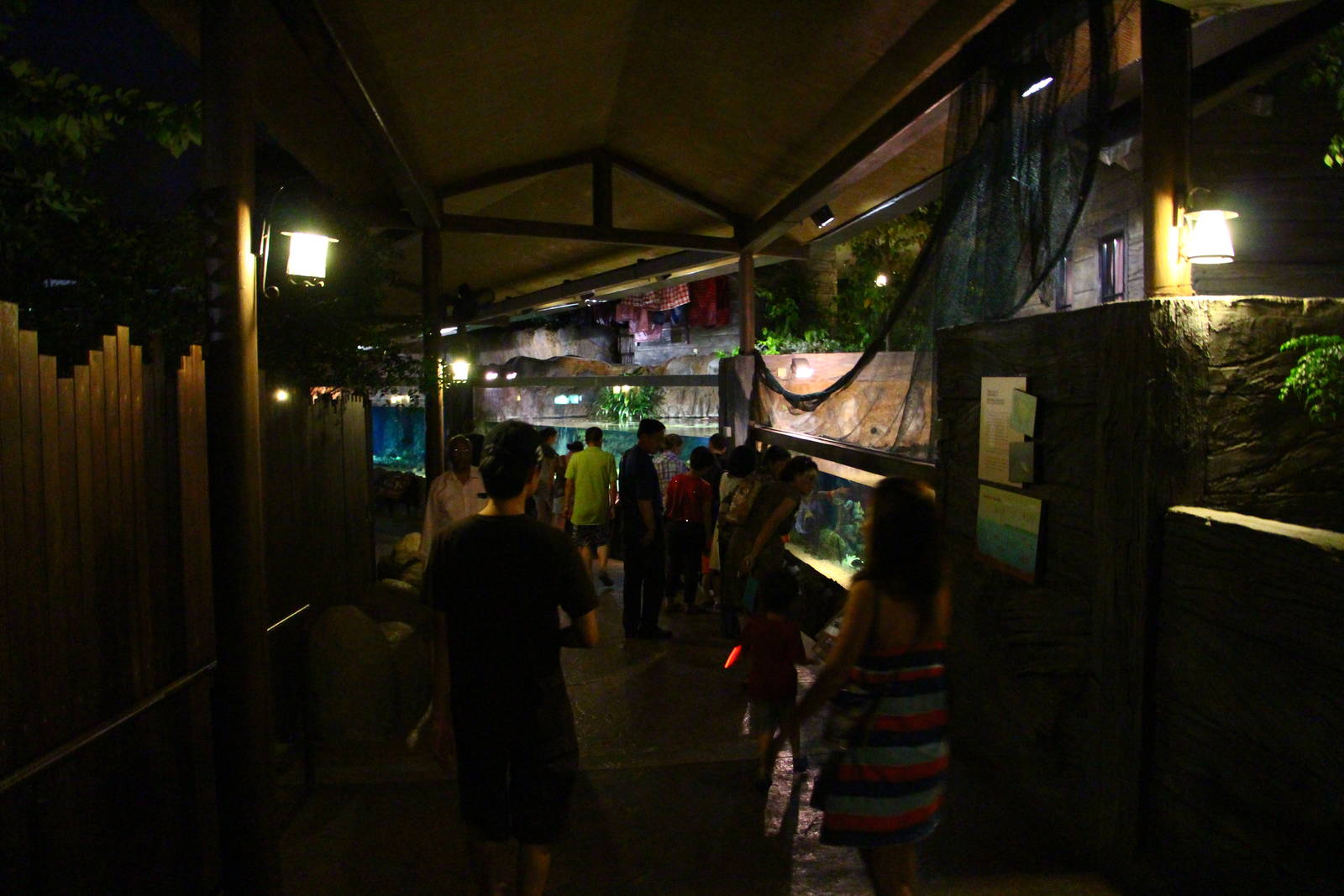 River Safari After Dark