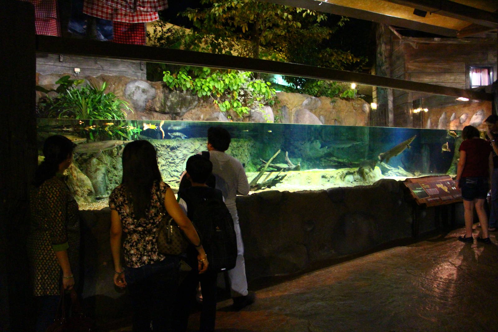 River Safari After Dark