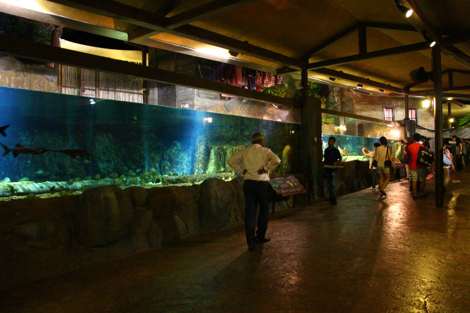 River Safari After Dark