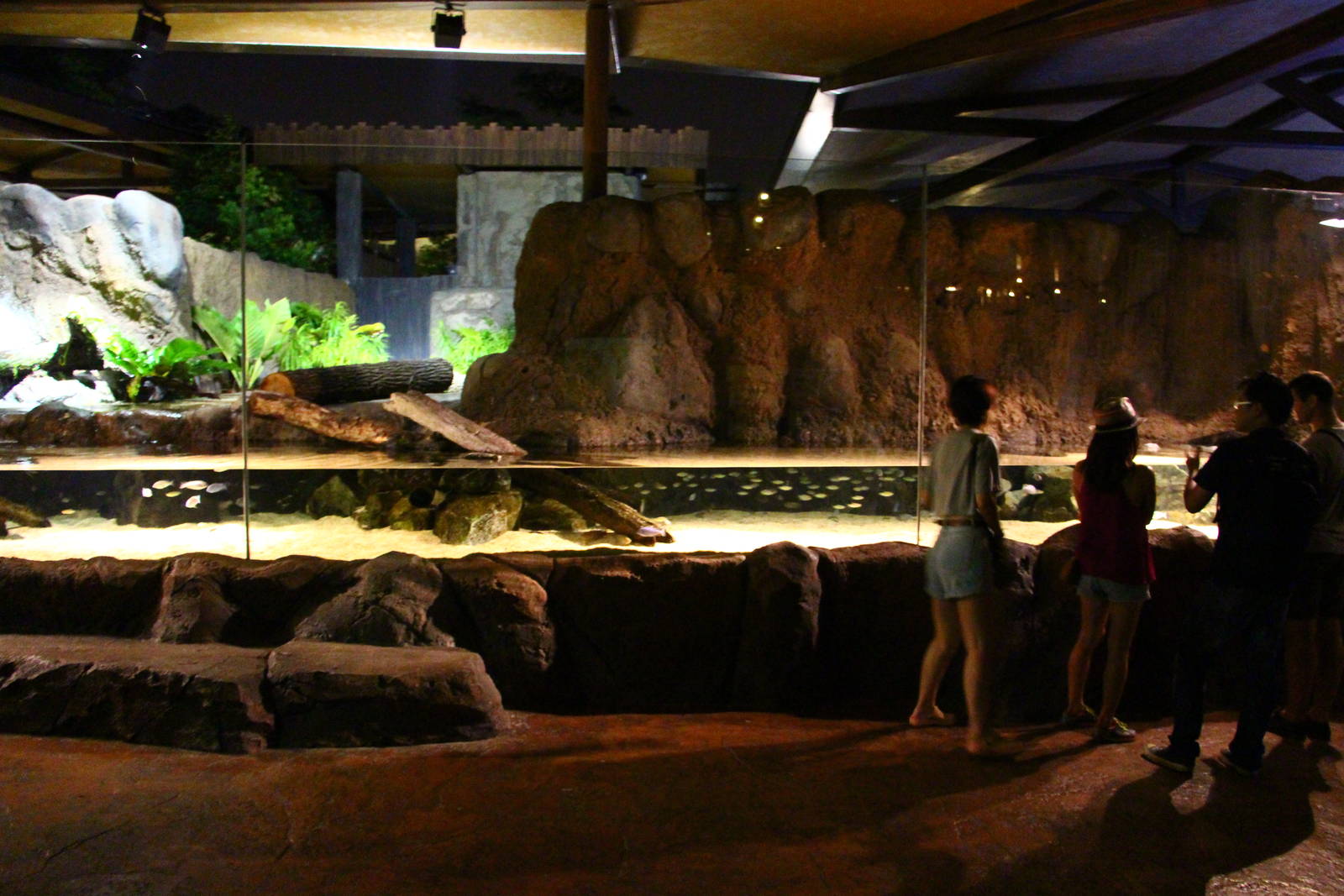 River Safari After Dark