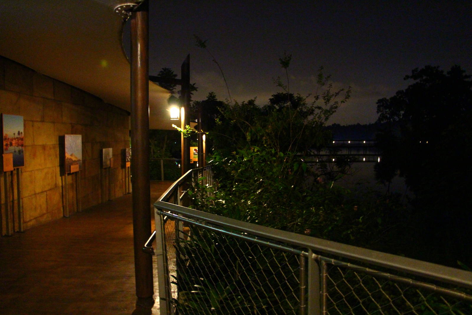 River Safari After Dark