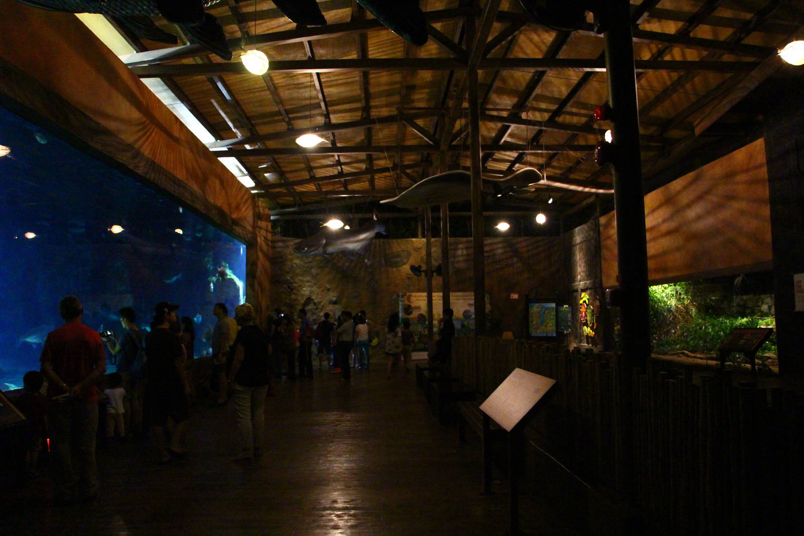 River Safari After Dark