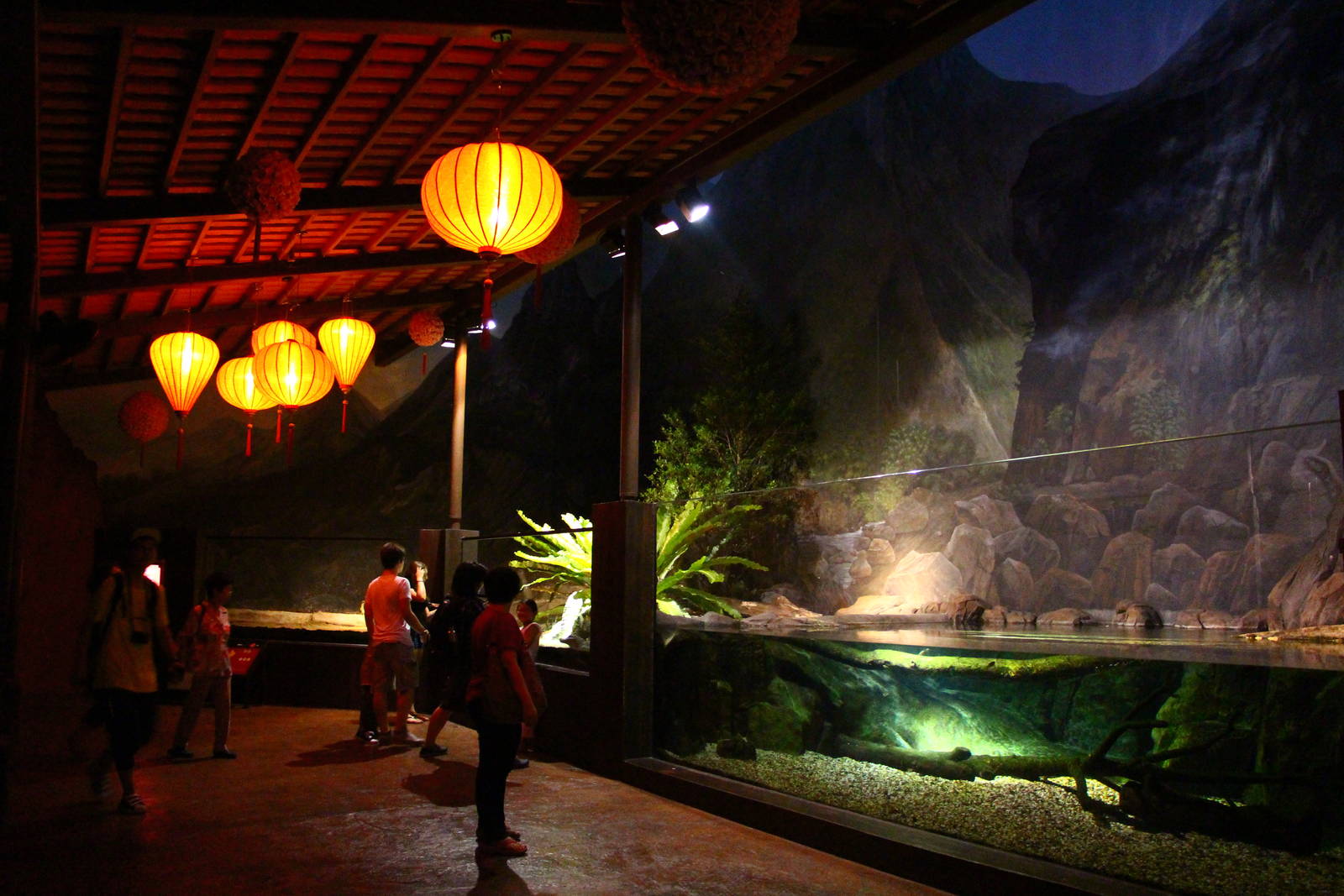 River Safari After Dark