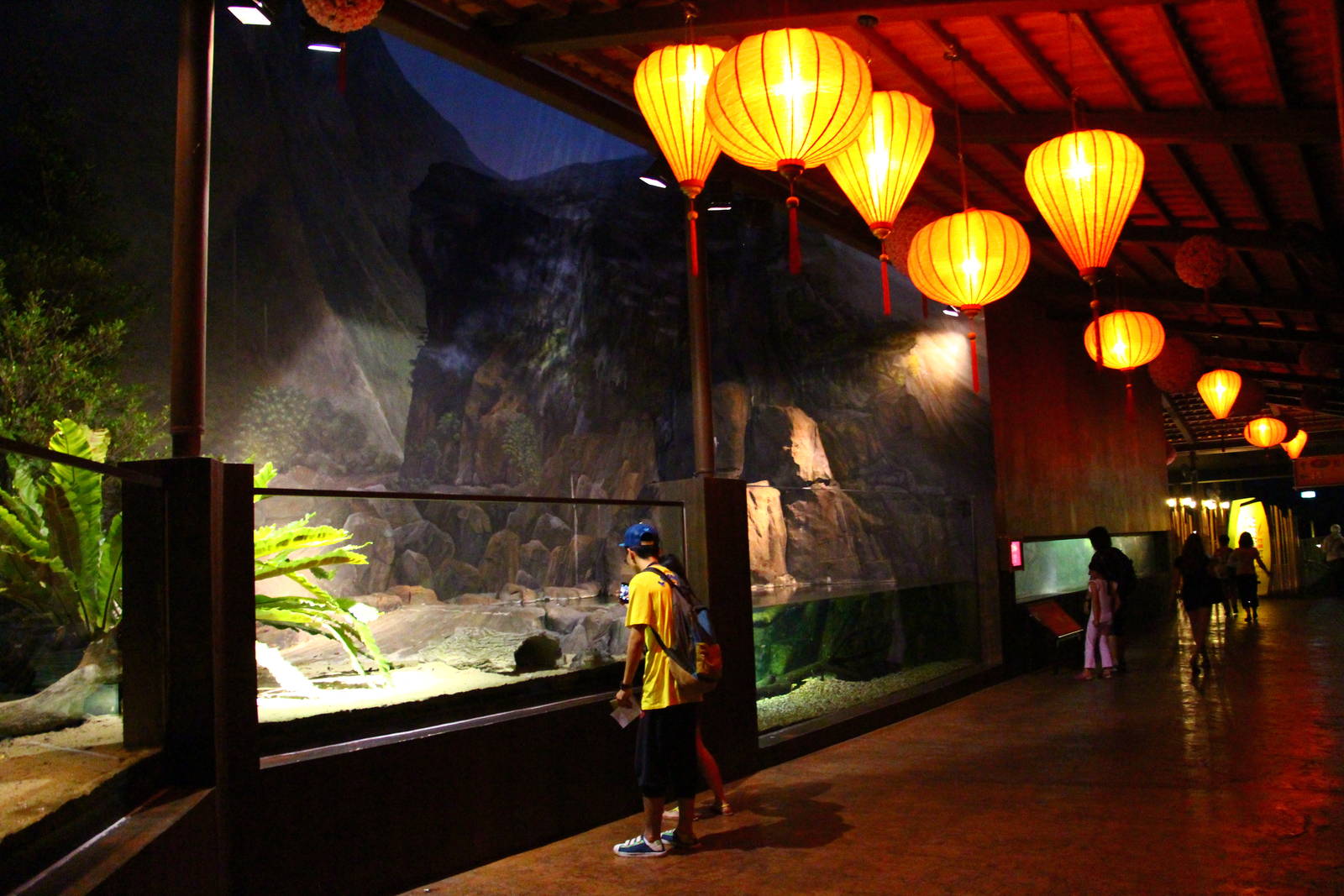 River Safari After Dark