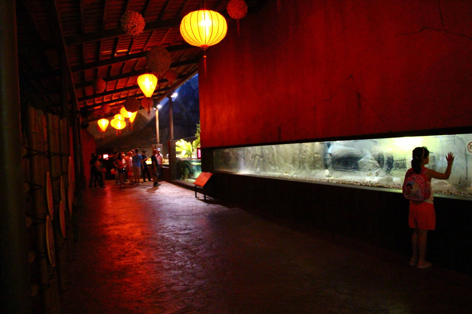 River Safari After Dark