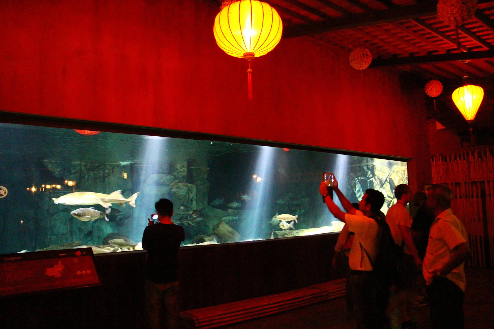 River Safari After Dark