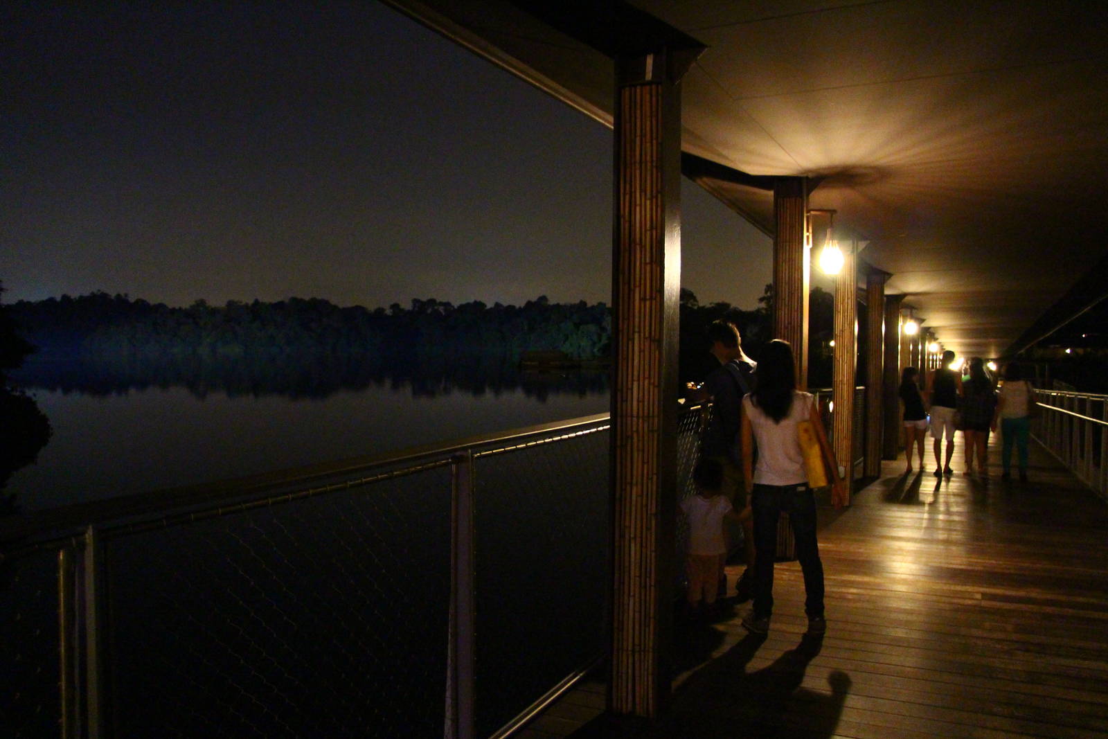 River Safari After Dark