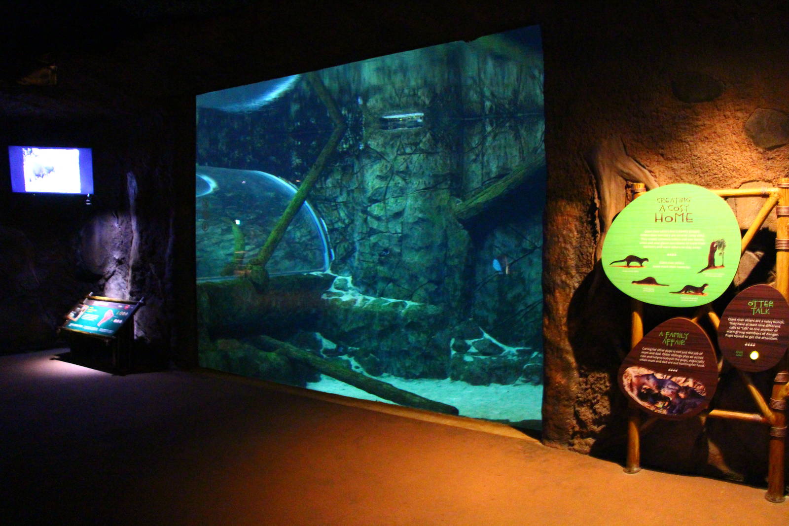 River Safari After Dark