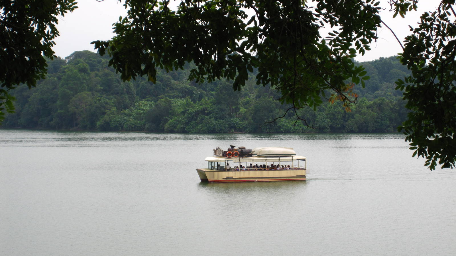 River Safari in 2011/2012, Singapore