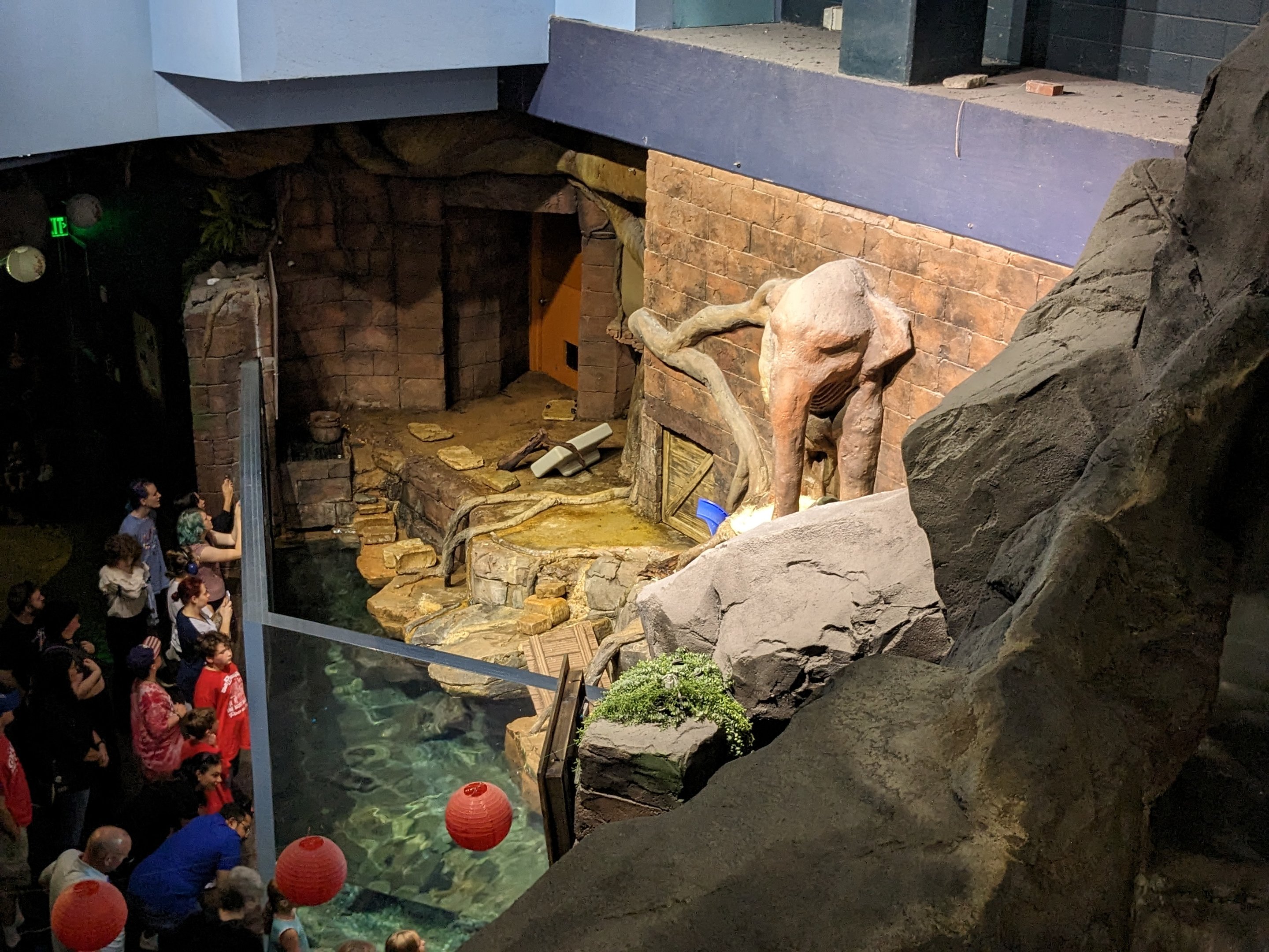 River Scout - Asian small clawed otter exhibit