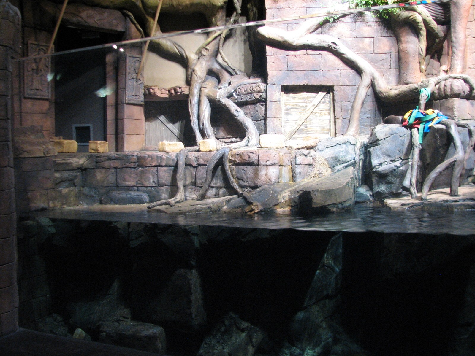 River Scout - Asian Small Clawed Otter Exhibit