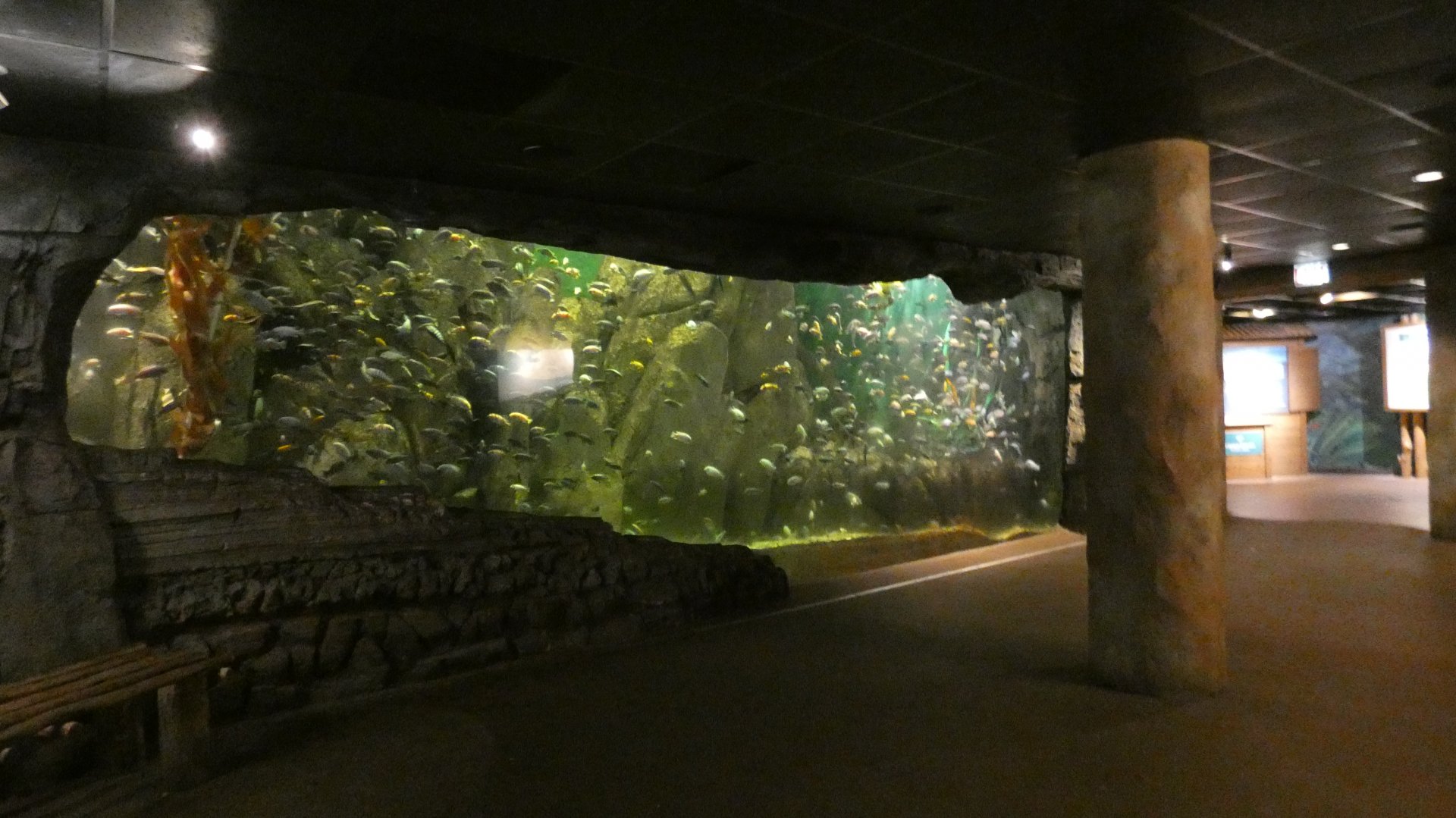 River Tank, African Journey - July 2021