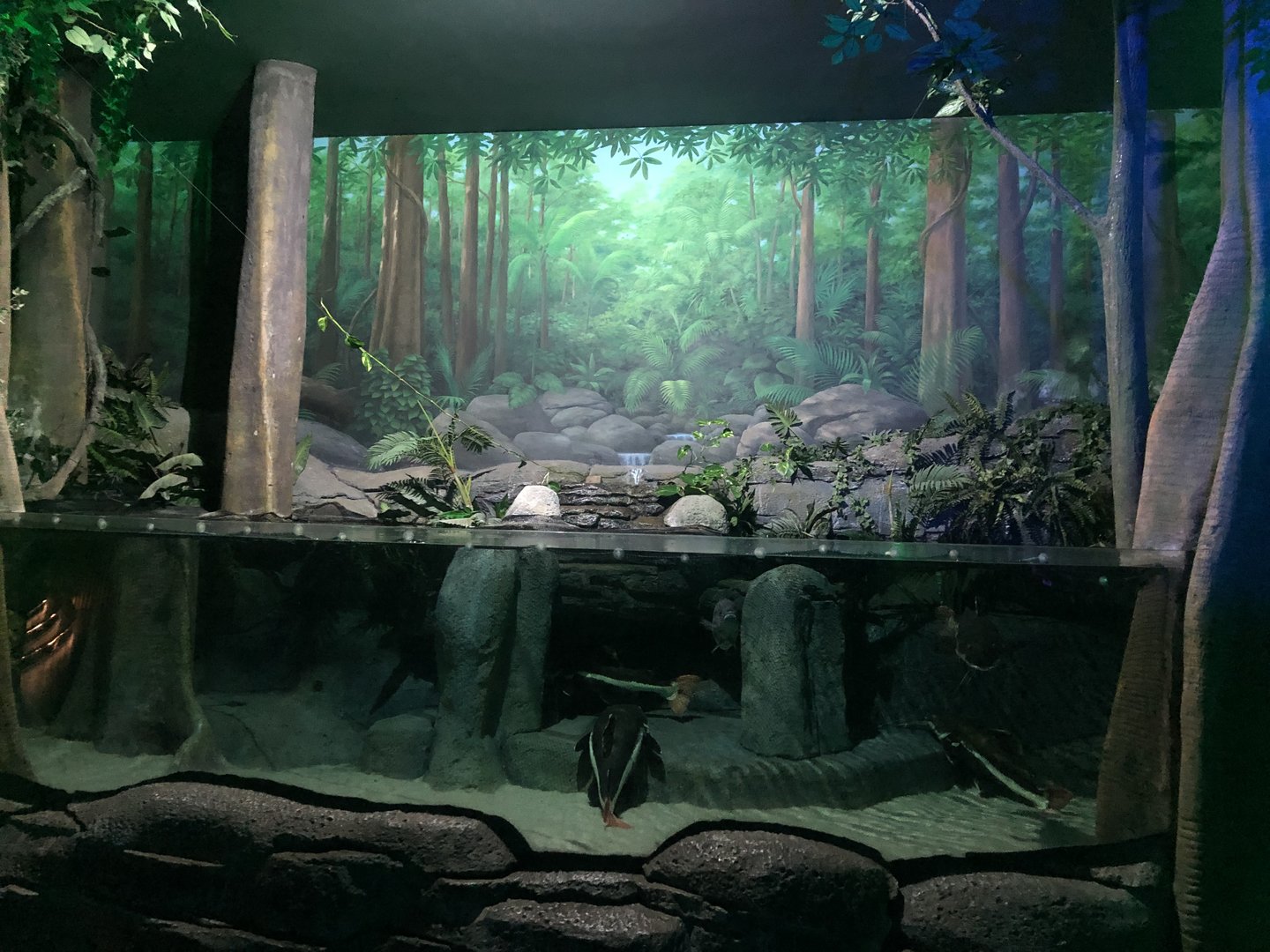 River Tank at ViaSea Aquarium