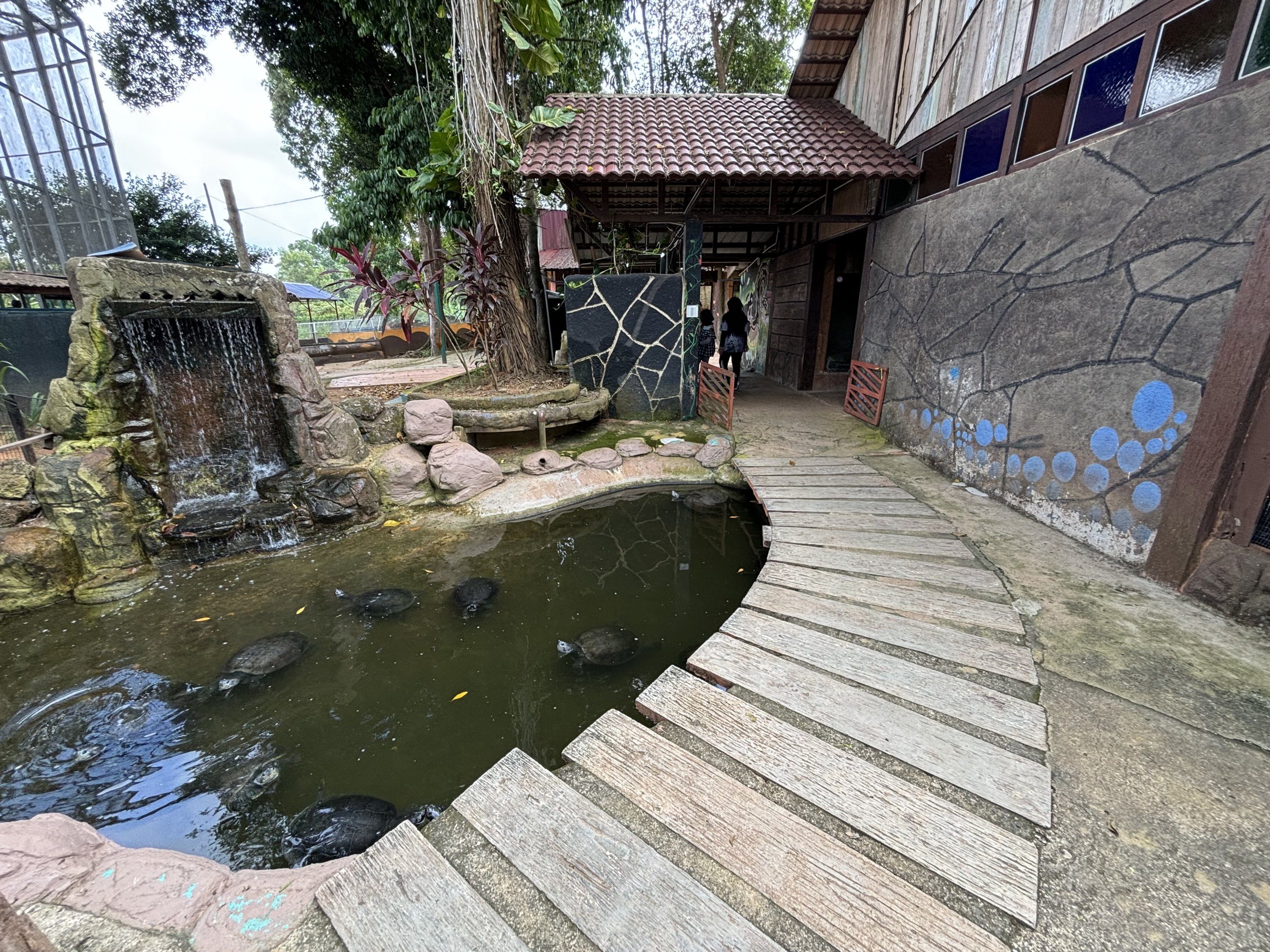 River Terrapin Exhibit