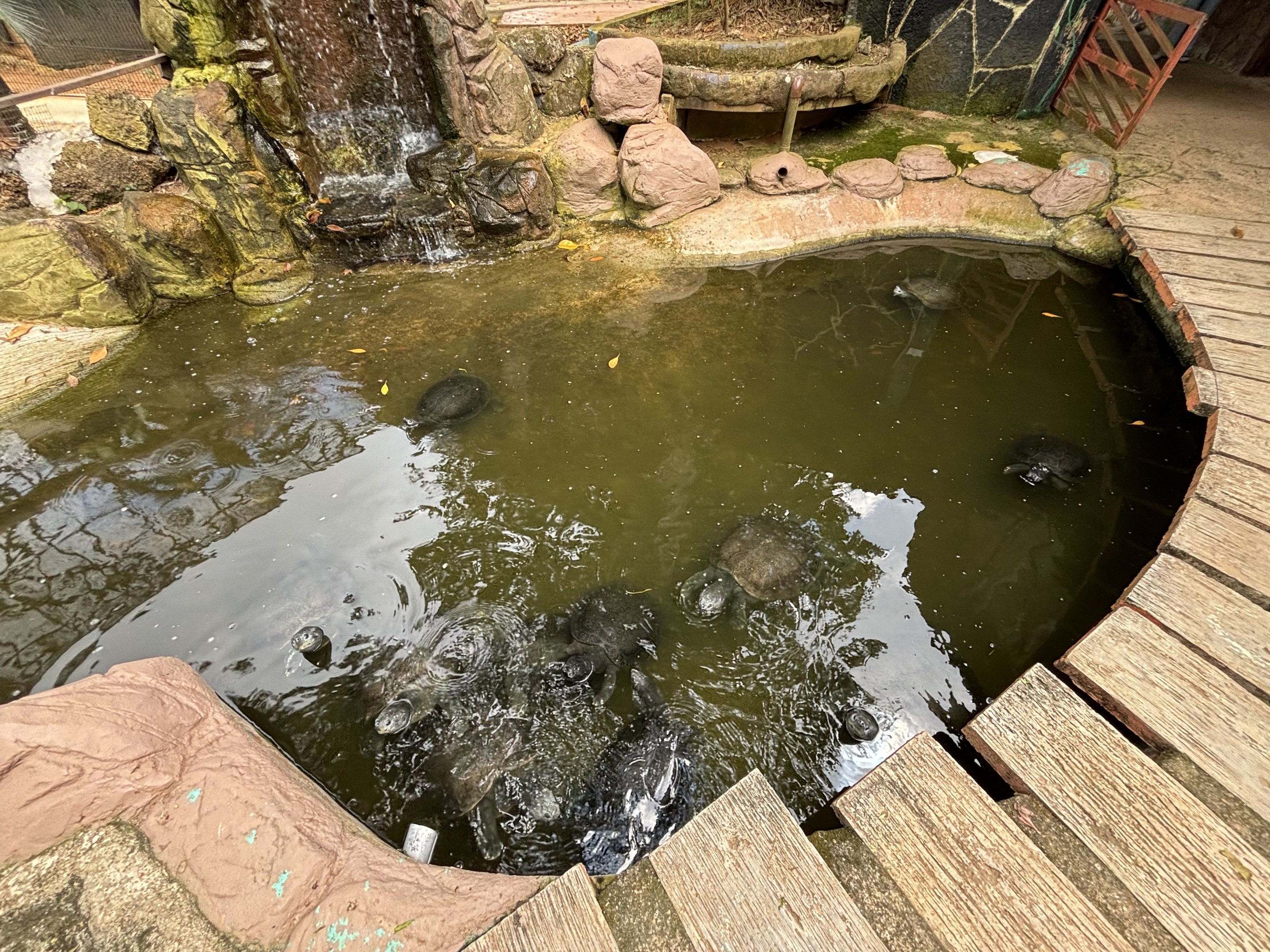 River Terrapin Exhibit