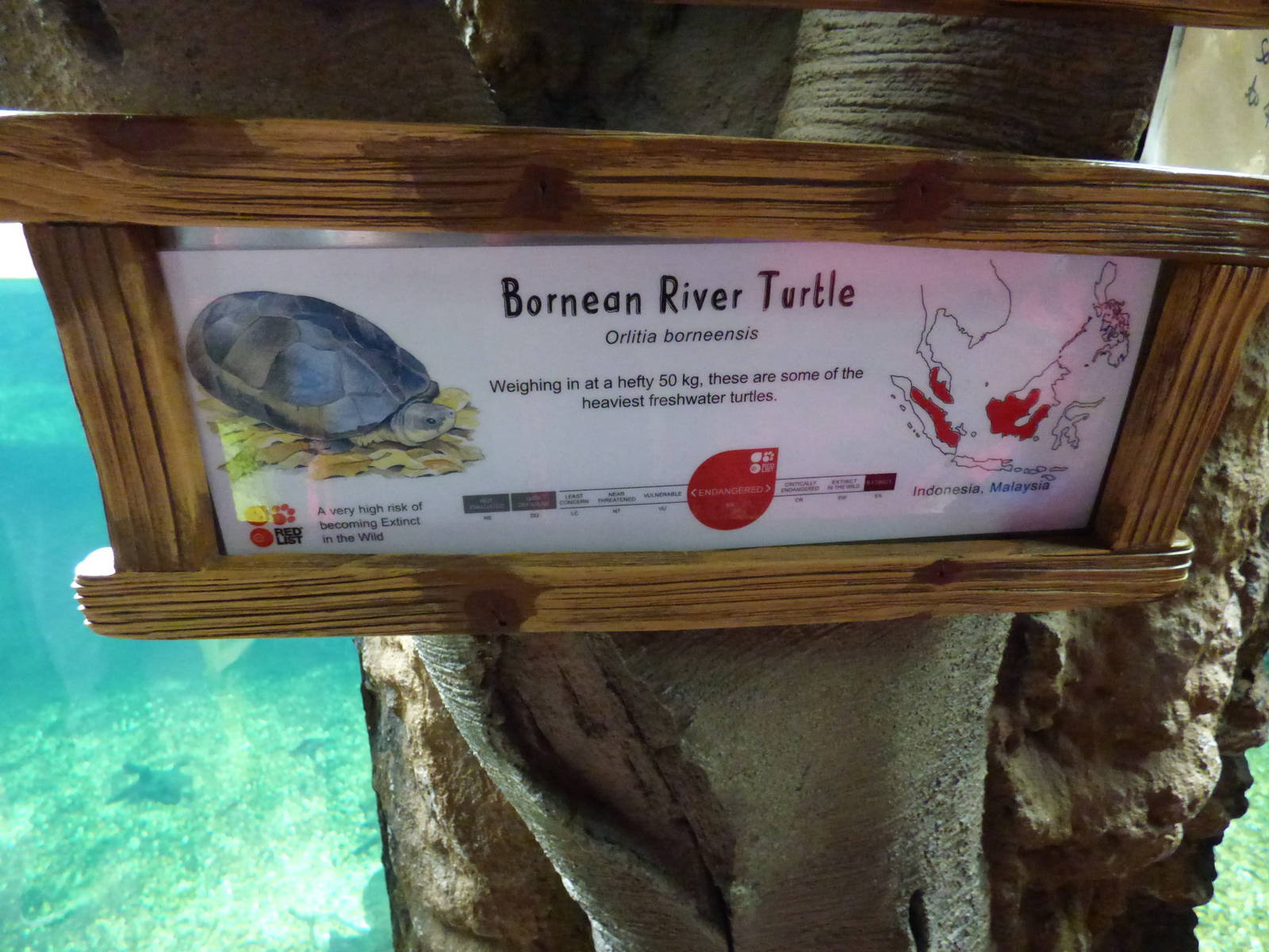 River Turtle Signage
