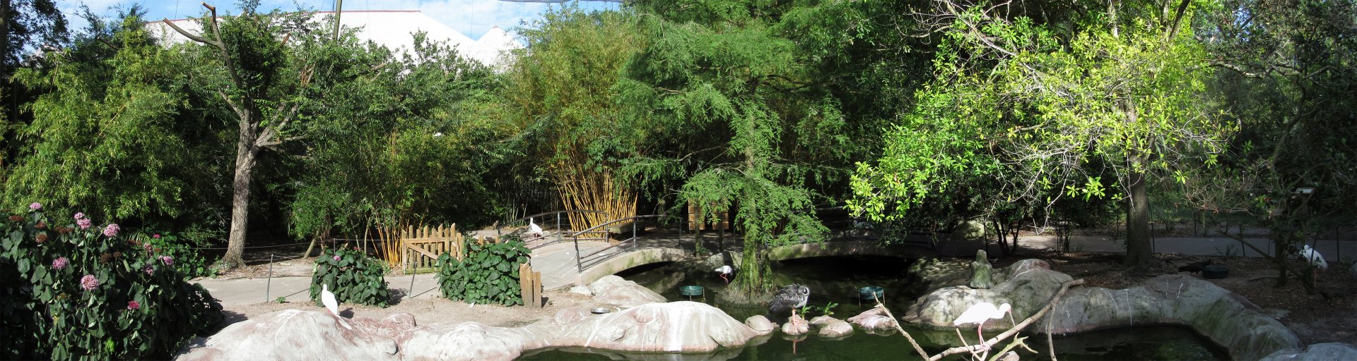 River Valley Aviary Bridge View